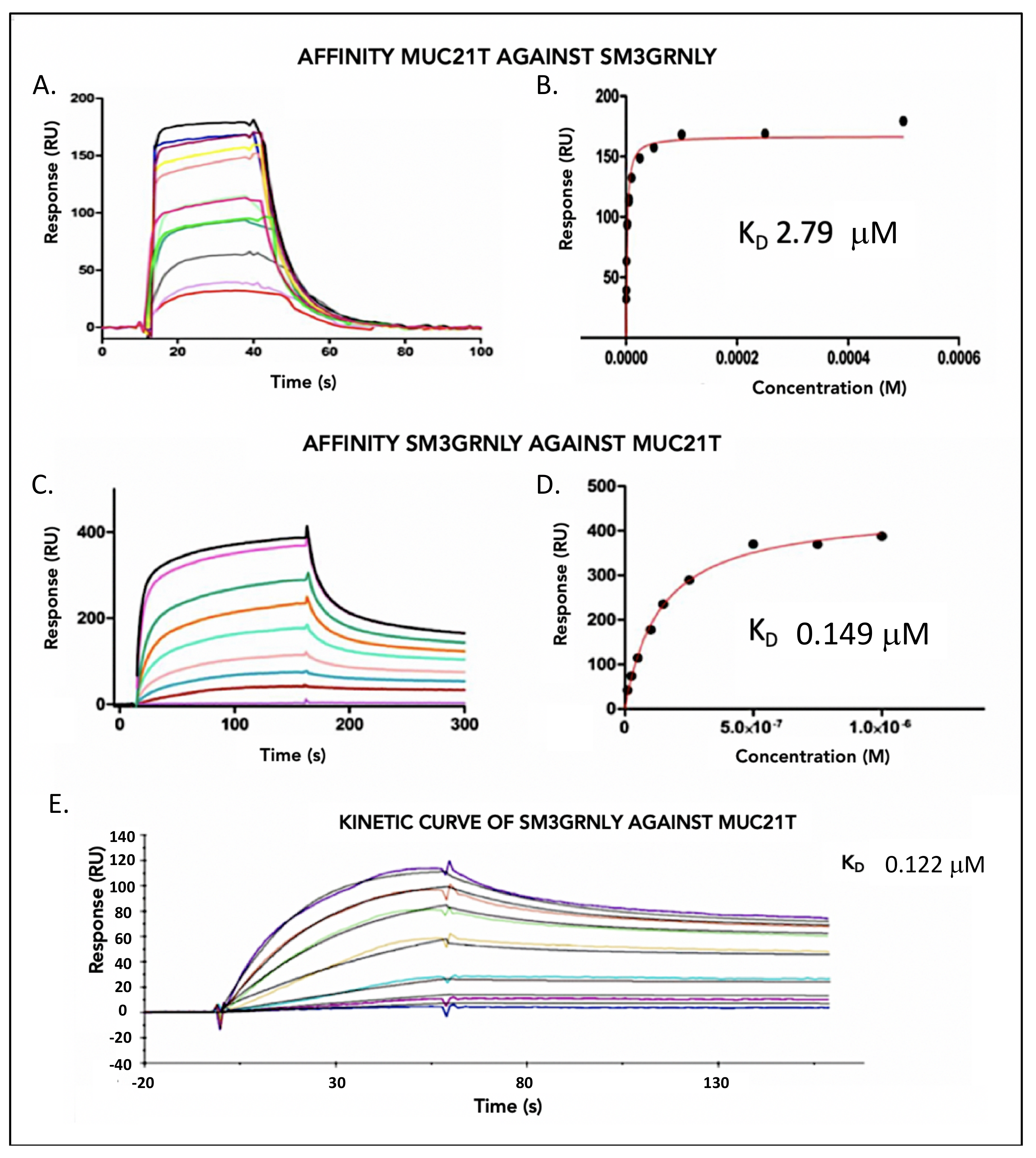 Biomedicines 10 01223 g002 550