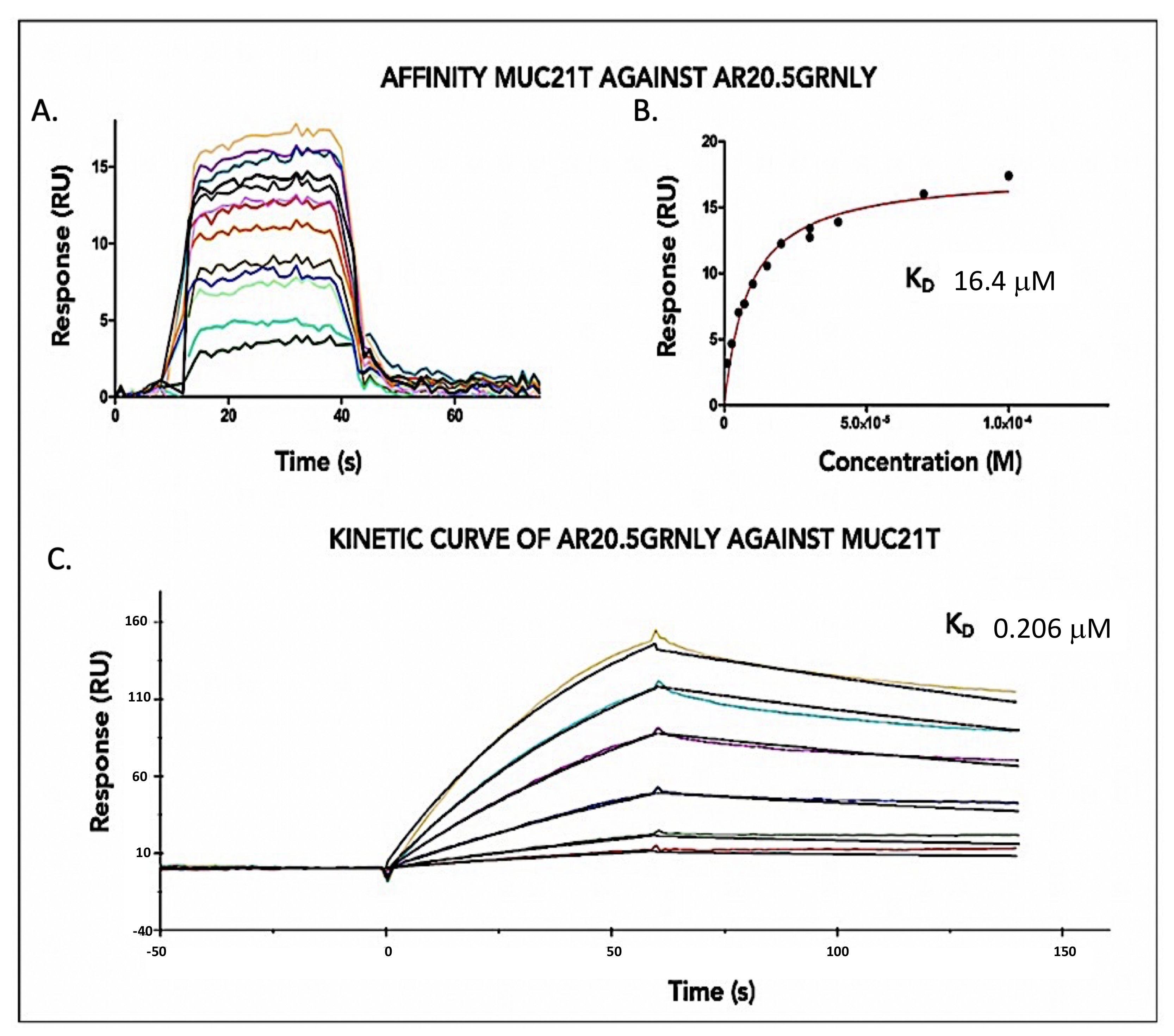 Biomedicines 10 01223 g003 550