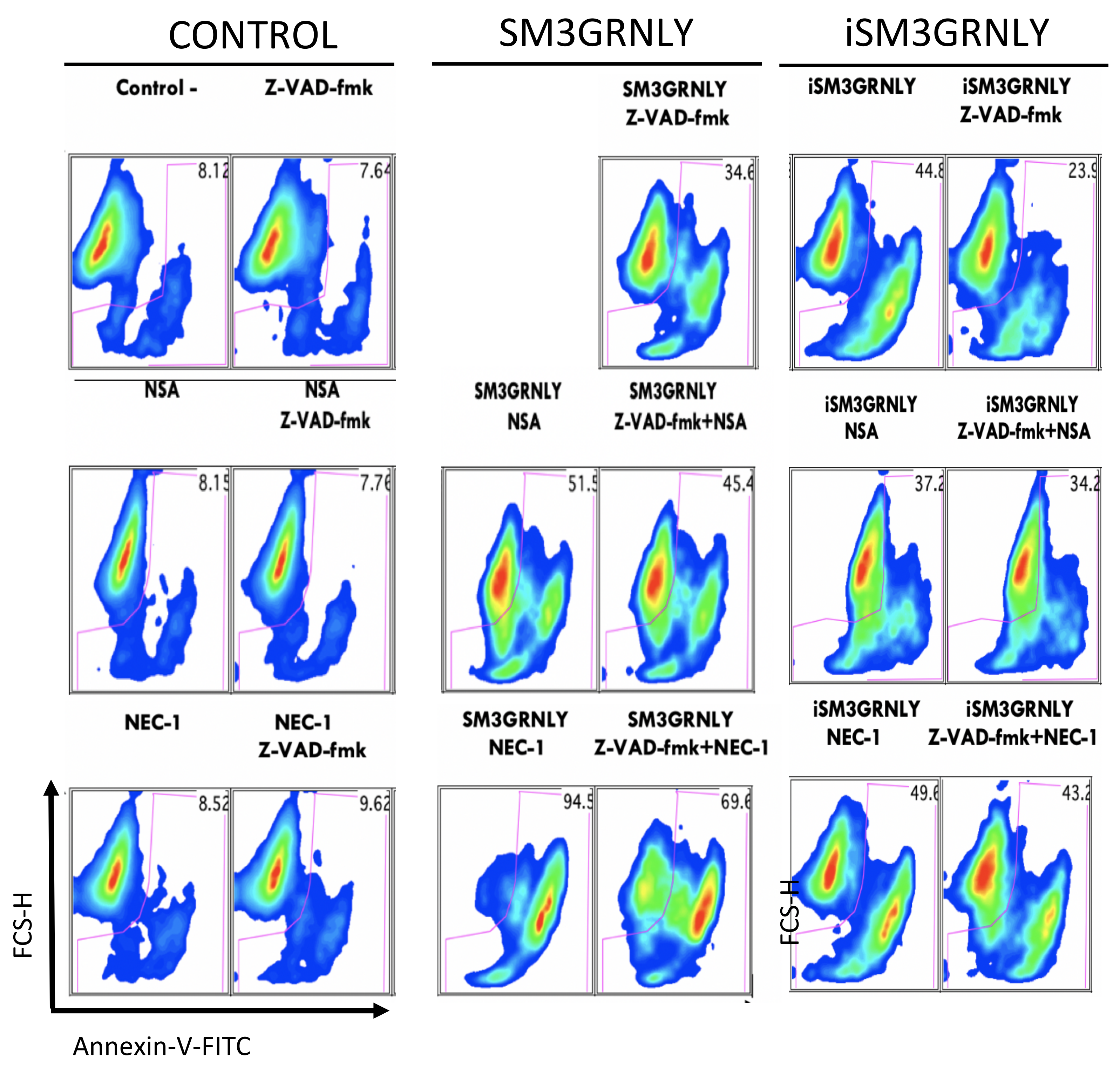 Biomedicines 10 01223 g008 550
