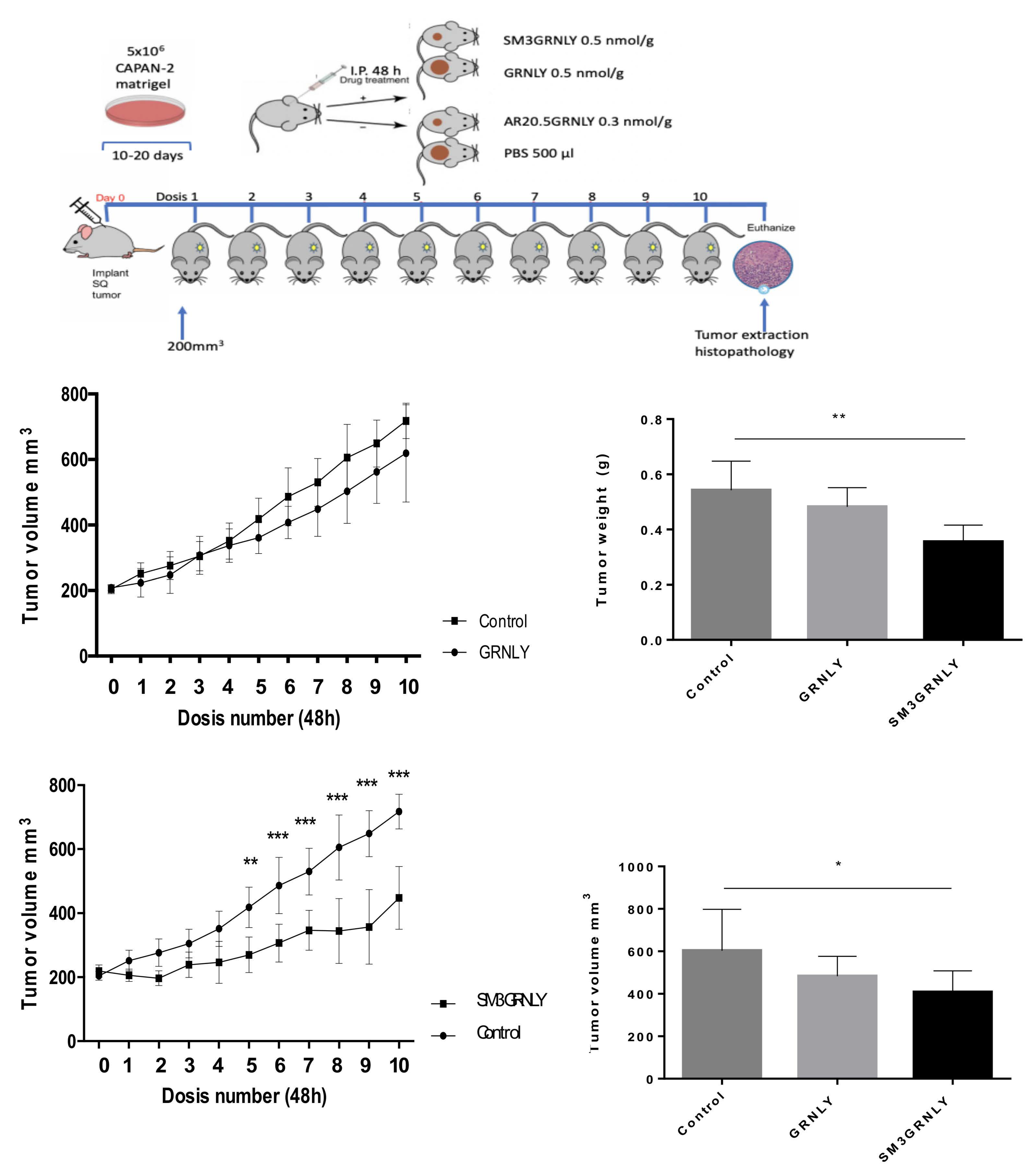 Biomedicines 10 01223 g009 550