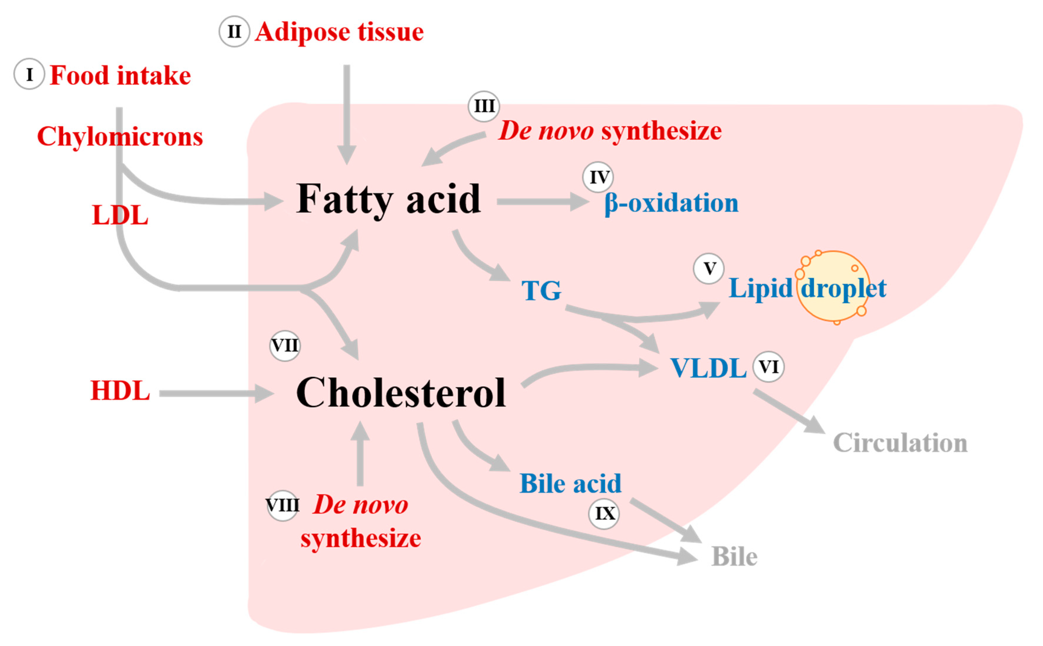 Biomedicines, Free Full-Text