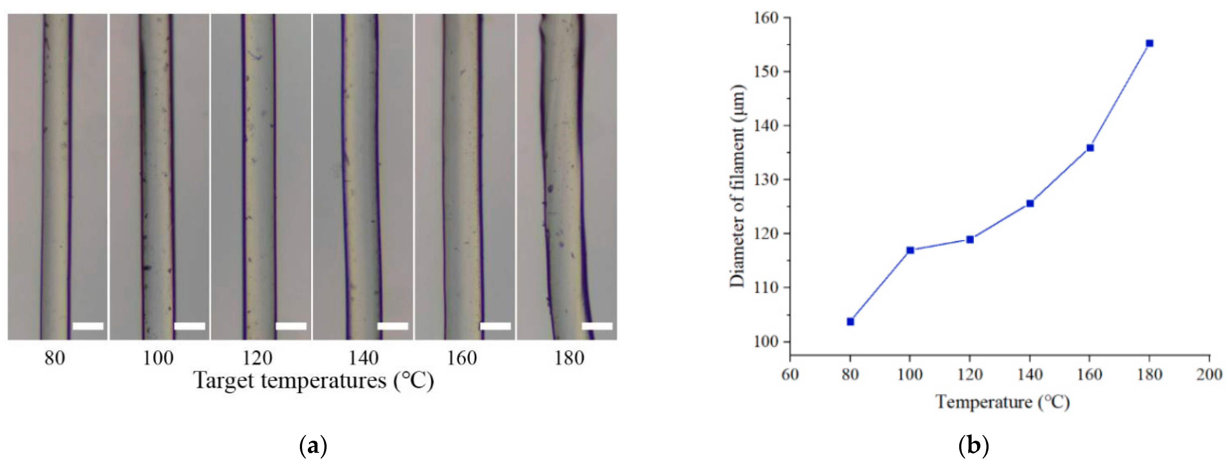 Biomedicines 10 01233 g009 550