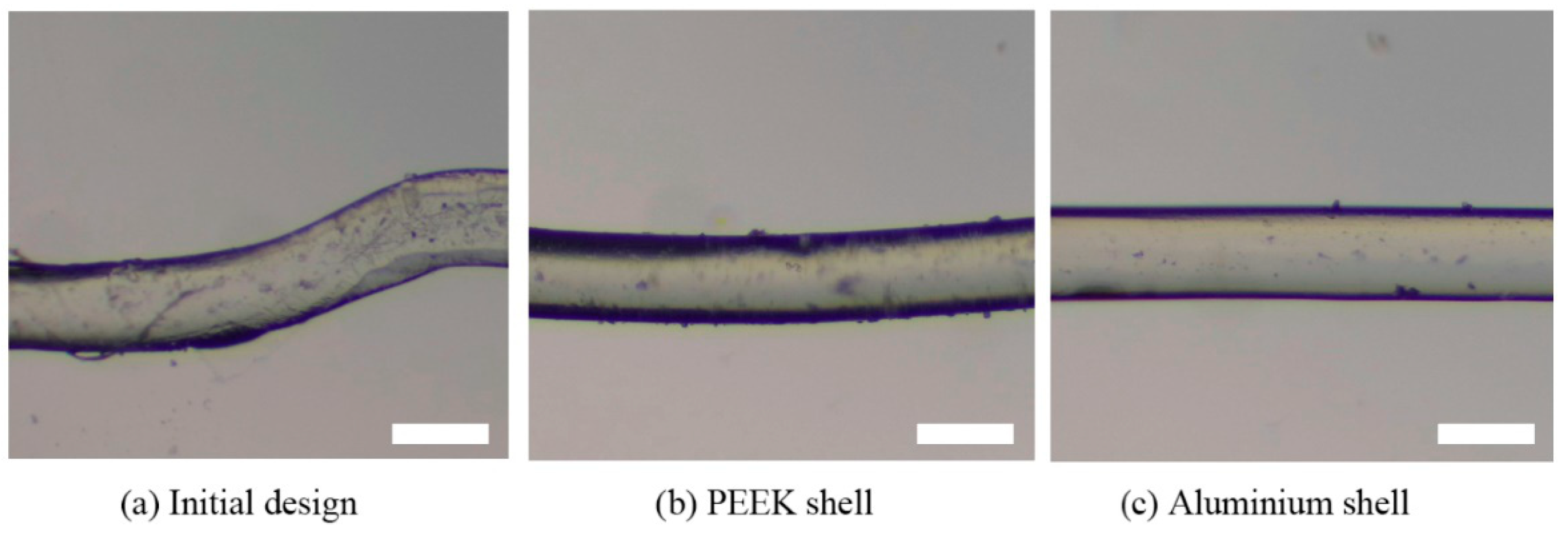 Biomedicines 10 01233 g010 550