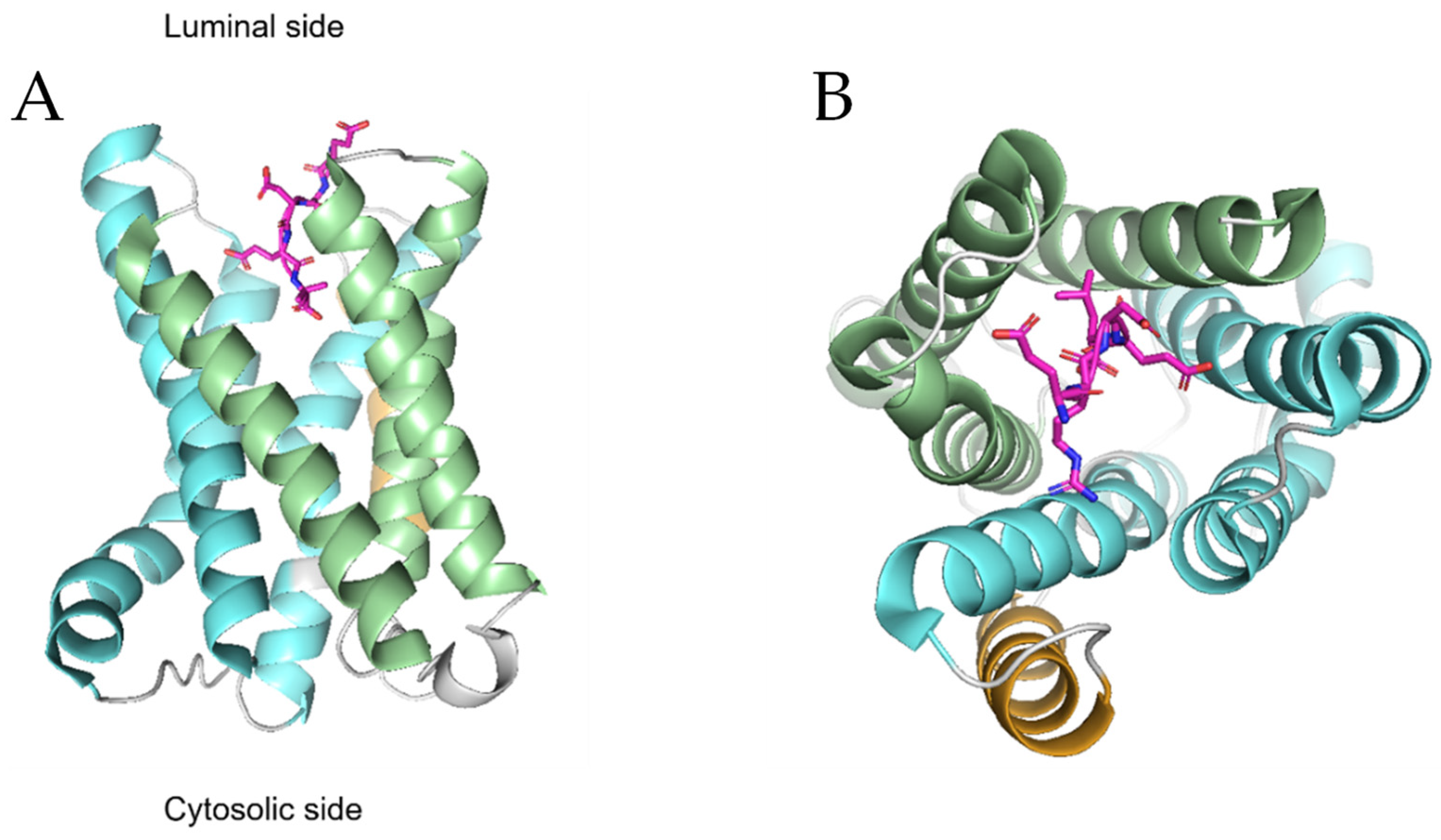 Biomedicines 10 01234 g003 Biomedicines 10 01234 g003