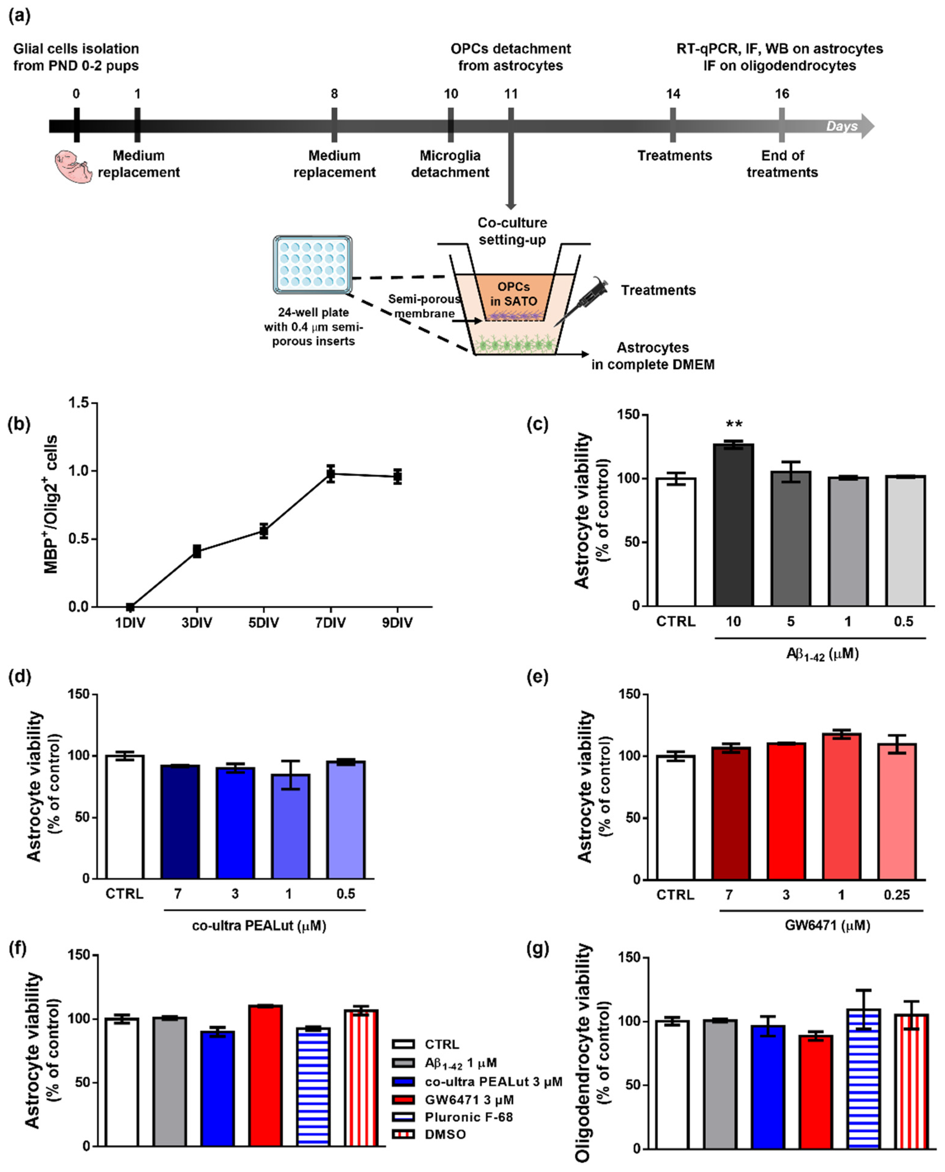 Biomedicines 10 01236 g001 550