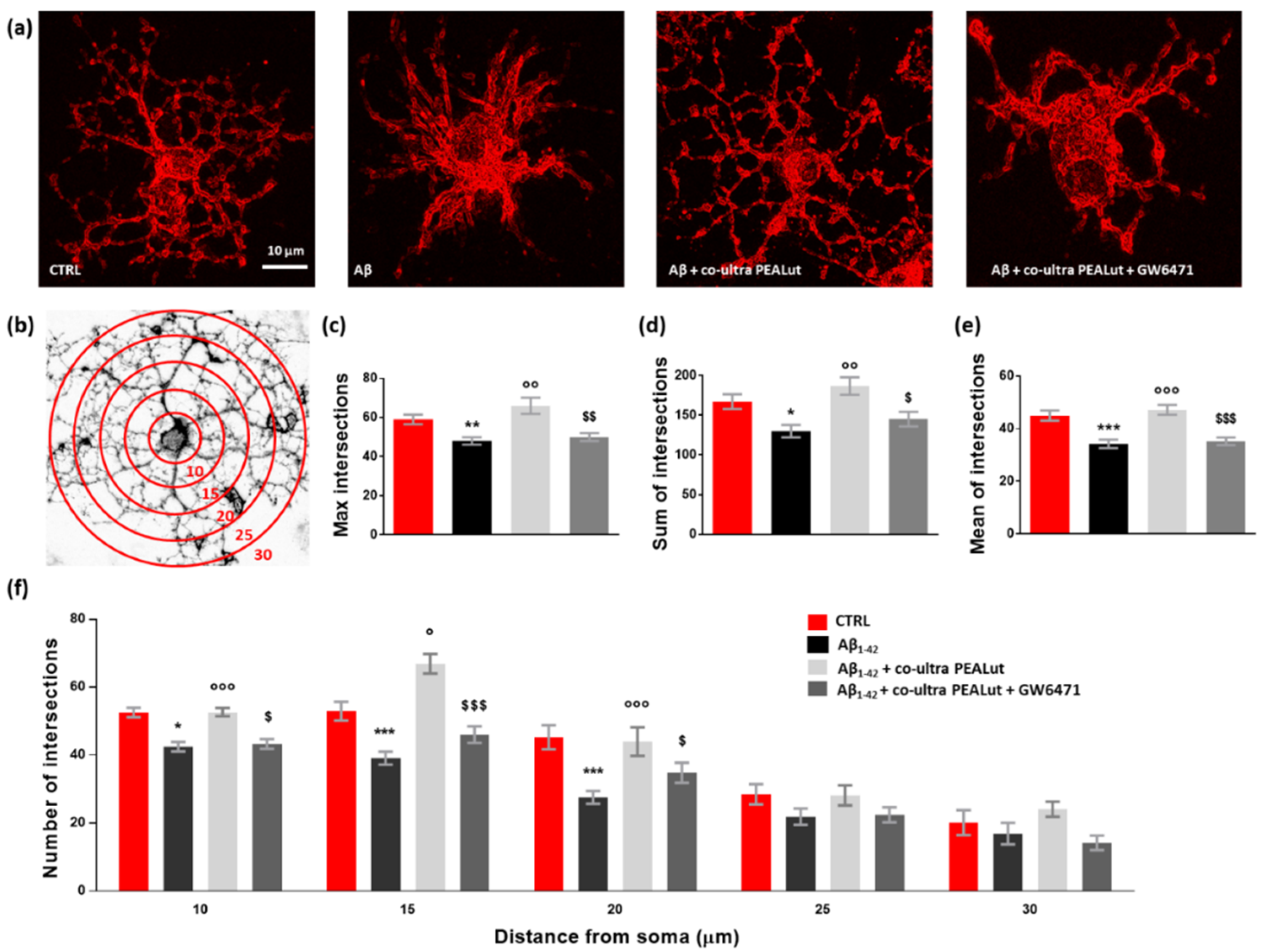 Biomedicines 10 01236 g006 550