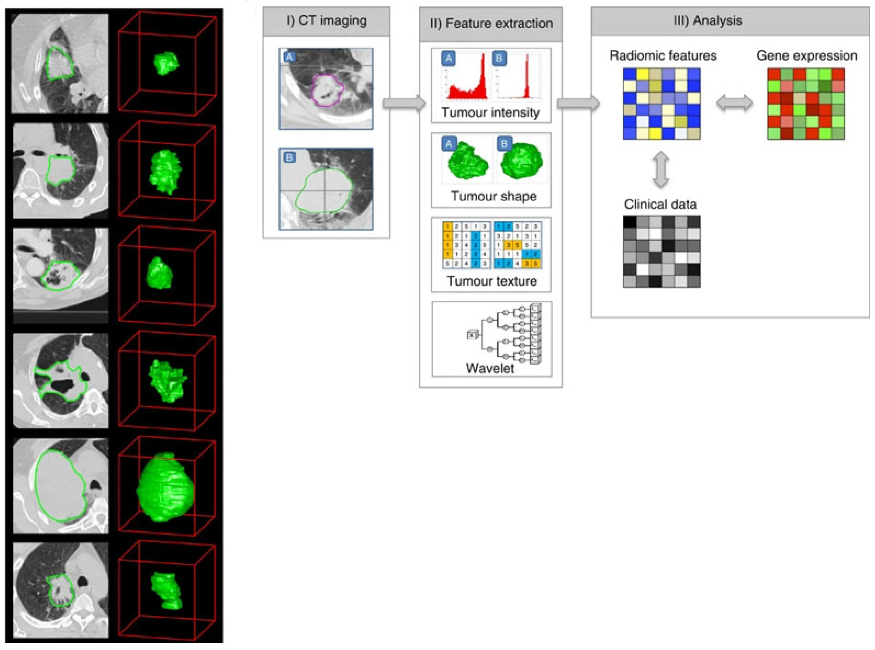 Biomedicines 10 01237 g001
