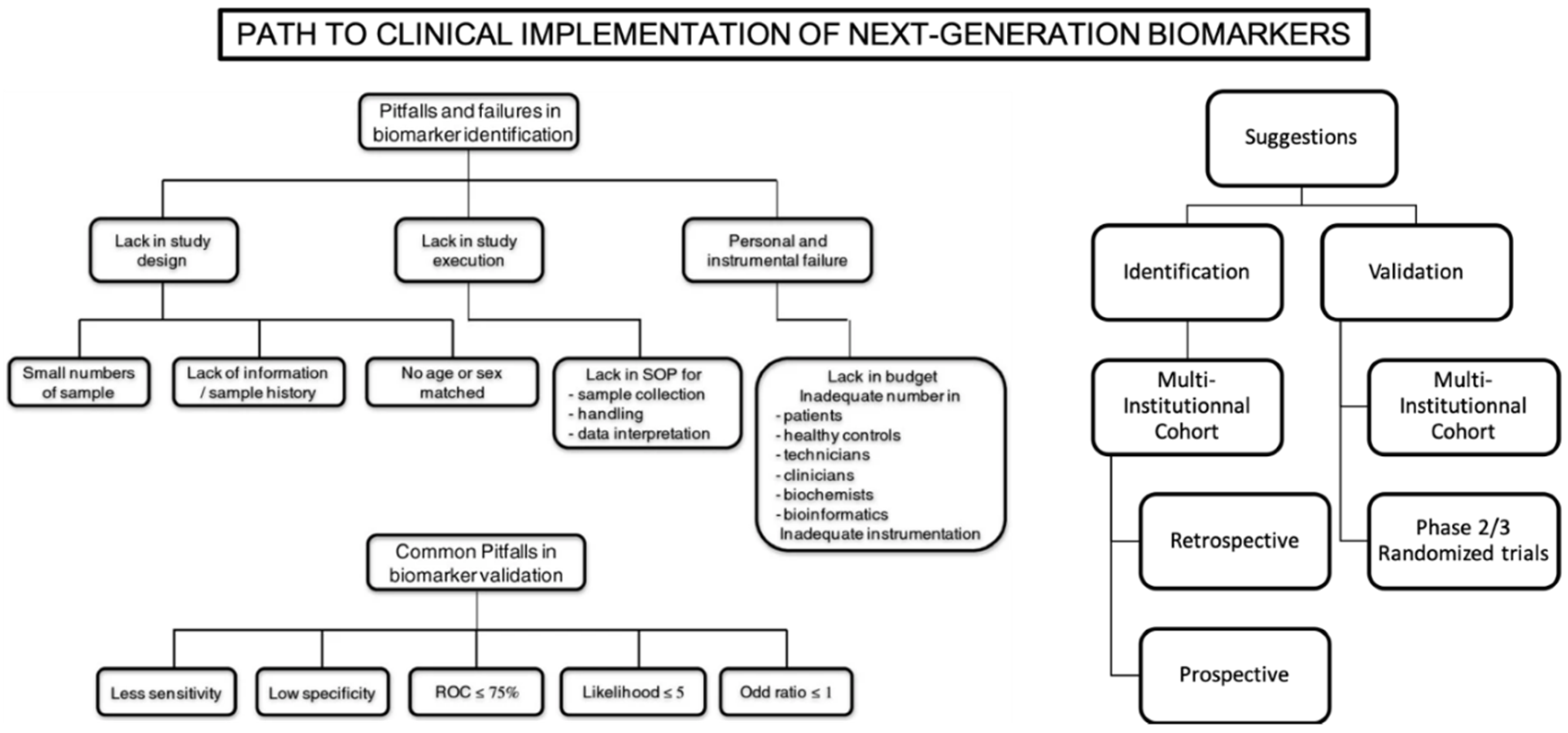 Biomedicines 10 01237 g002