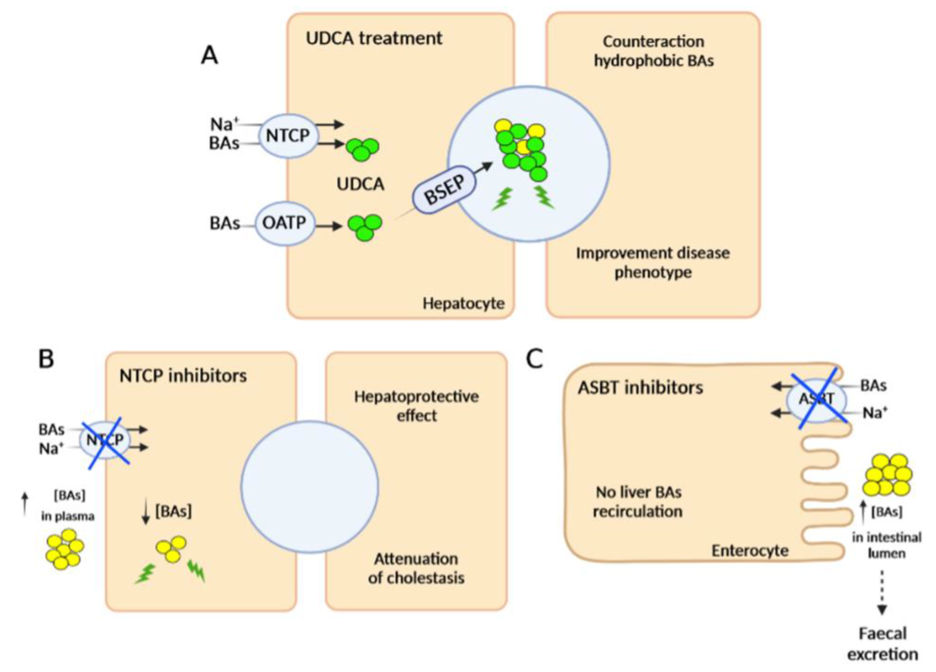 Biomedicines 10 01238 g002 Biomedicines 10 01238 g002