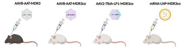 Biomedicines 10 01238 i001 Biomedicines 10 01238 i001