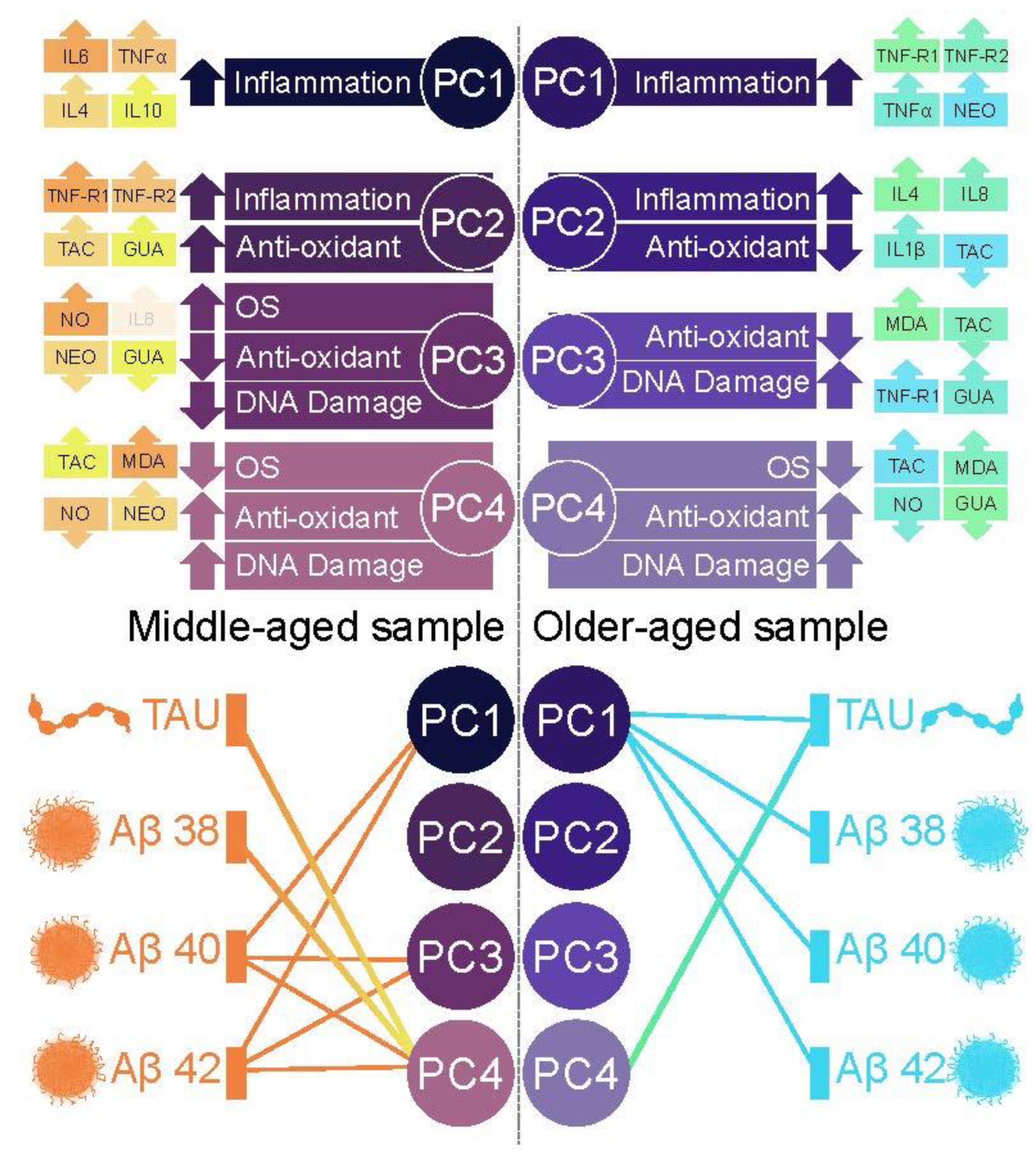 Biomedicines 10 01240 g001 550
