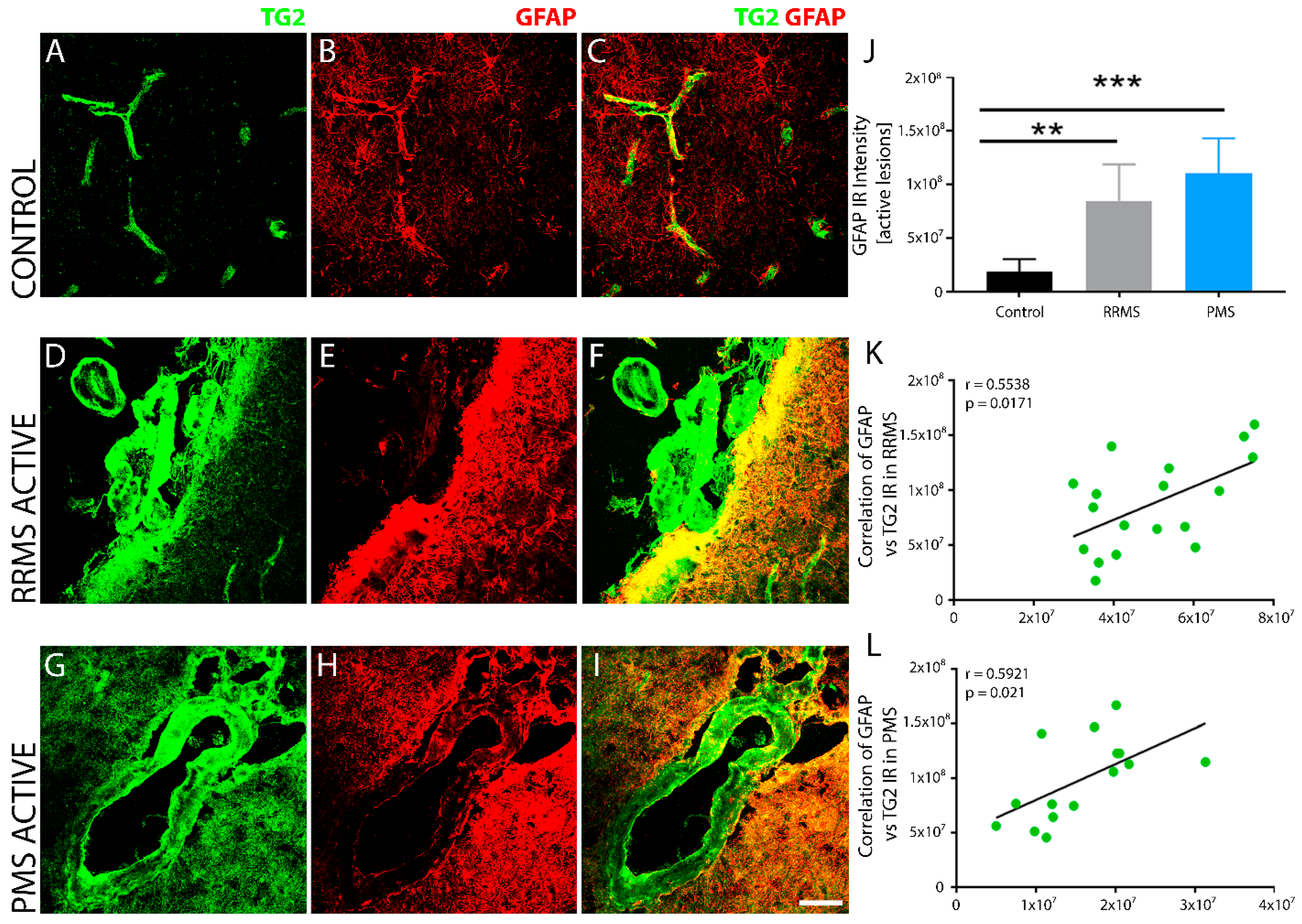 Biomedicines 10 01241 g005 Biomedicines 10 01241 g005