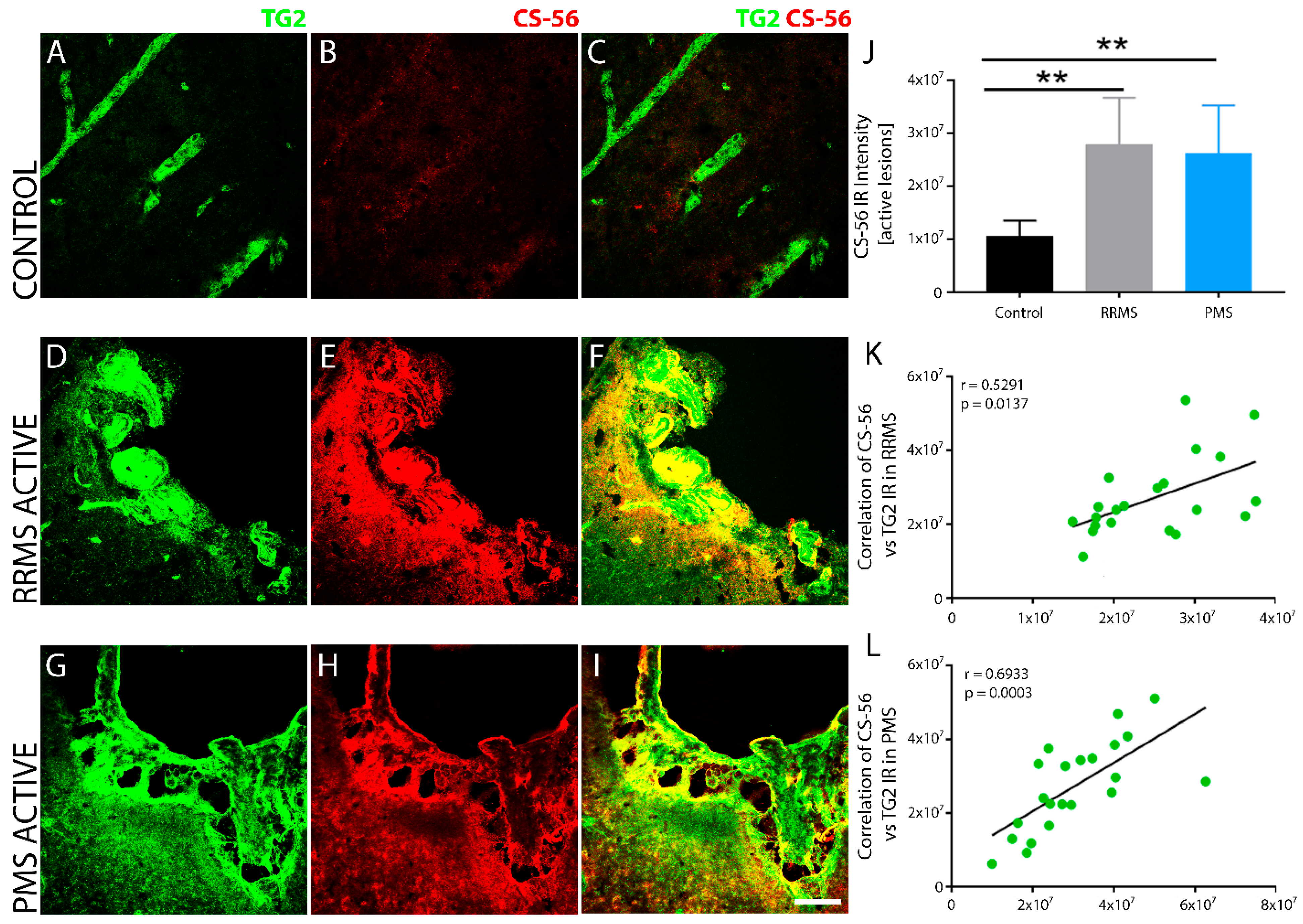 Biomedicines 10 01241 g007 Biomedicines 10 01241 g007