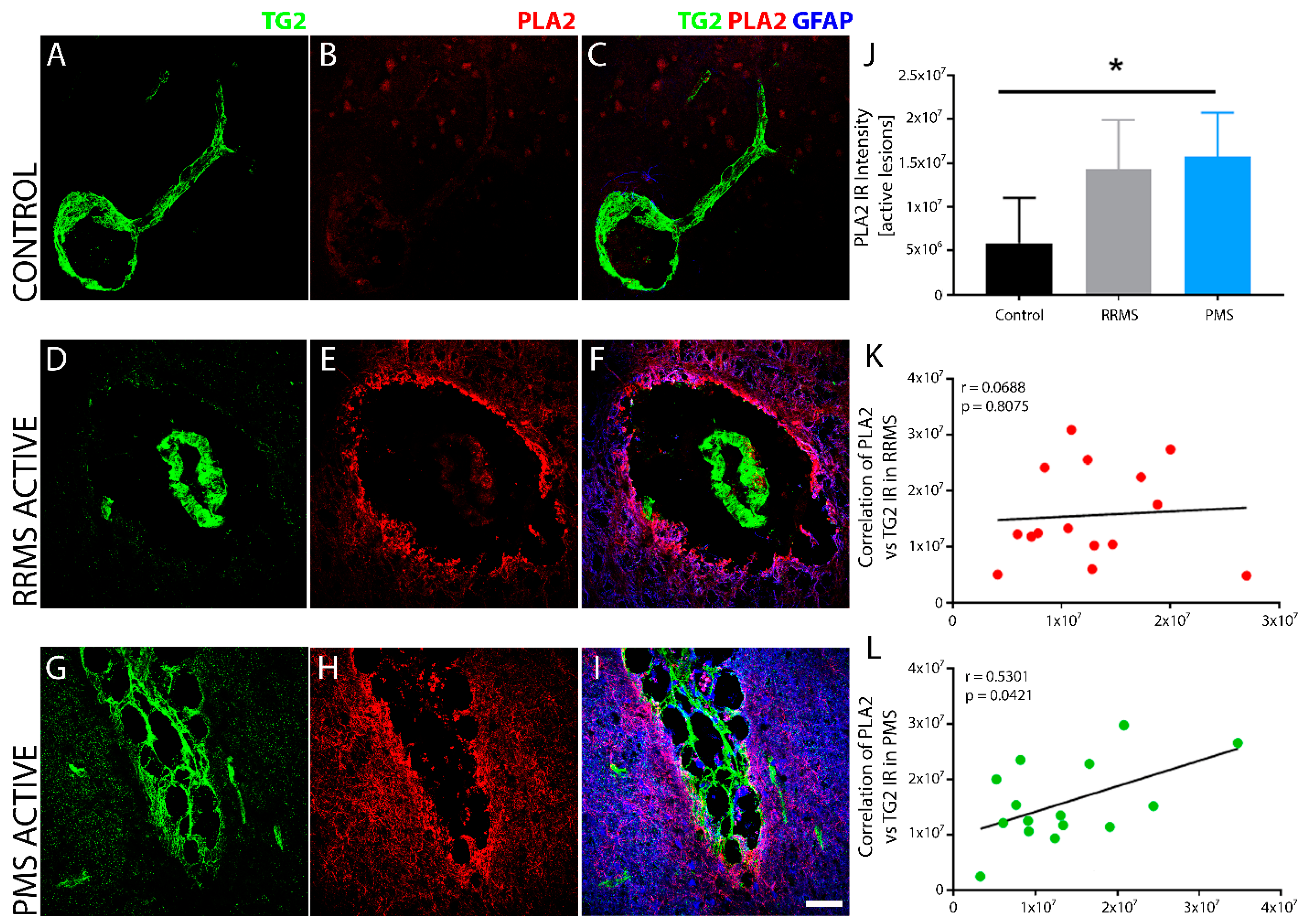 Biomedicines 10 01241 g009 Biomedicines 10 01241 g009