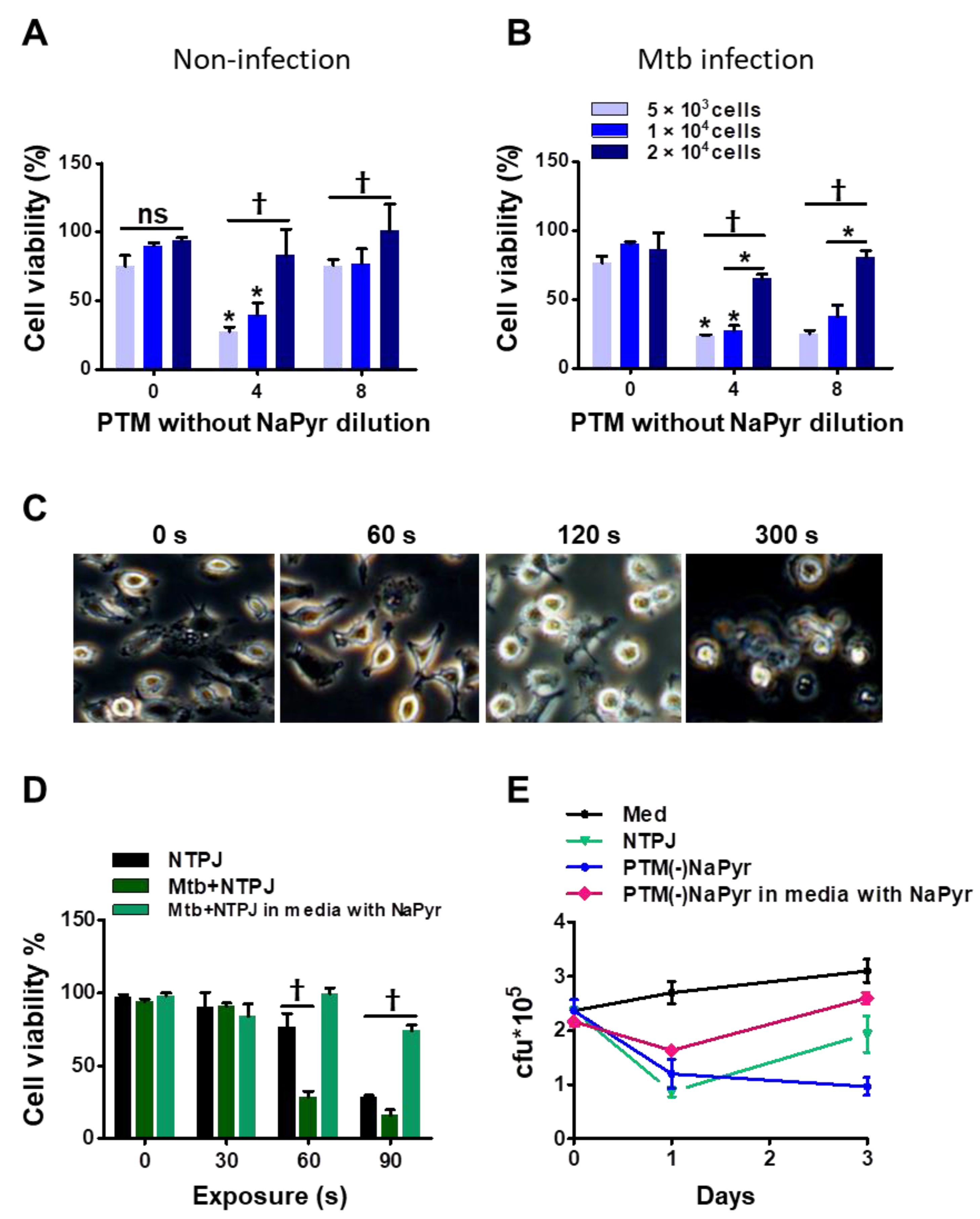 Biomedicines 10 01243 g005 Biomedicines 10 01243 g005