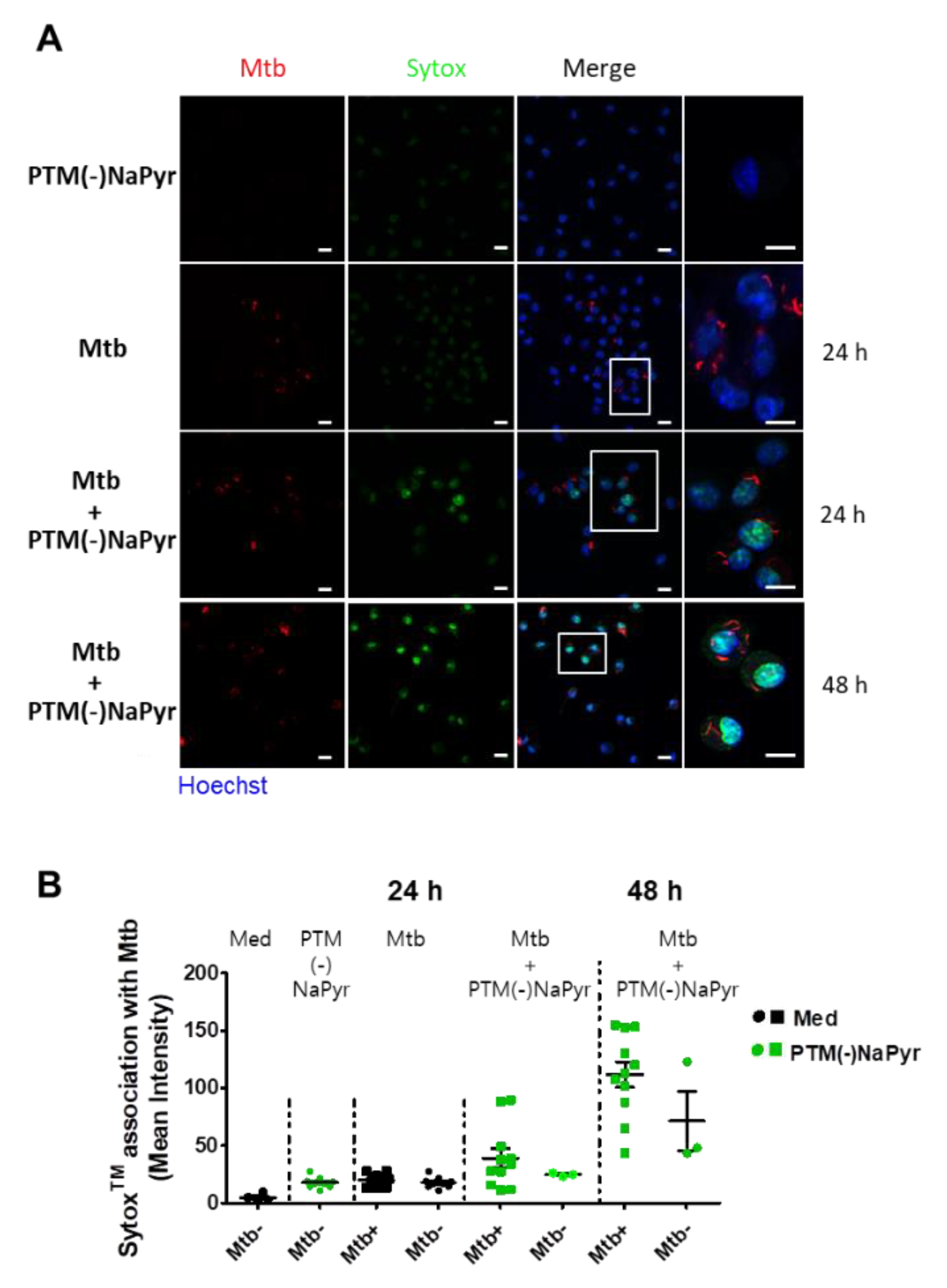 Biomedicines 10 01243 g007 Biomedicines 10 01243 g007