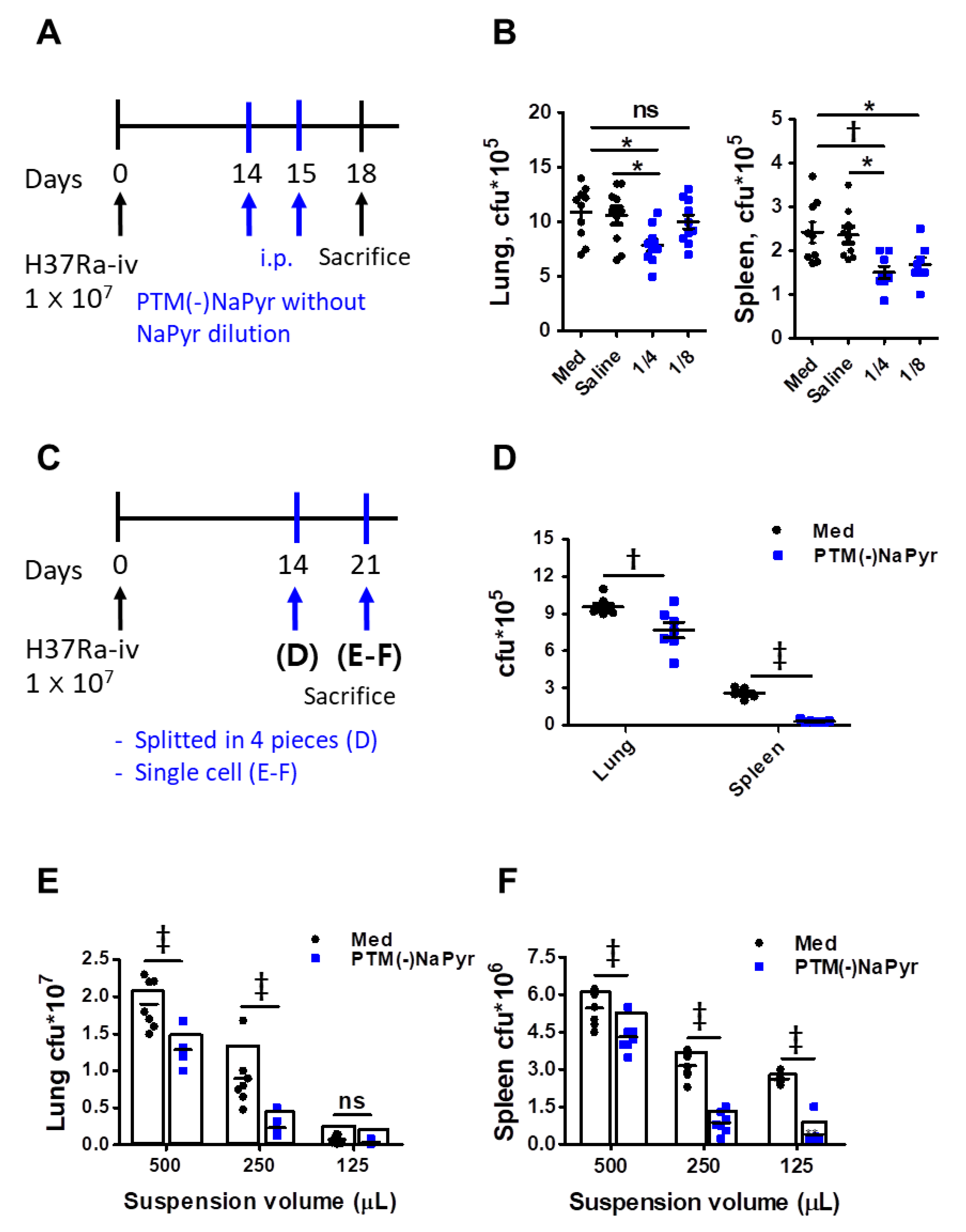 Biomedicines 10 01243 g009 Biomedicines 10 01243 g009