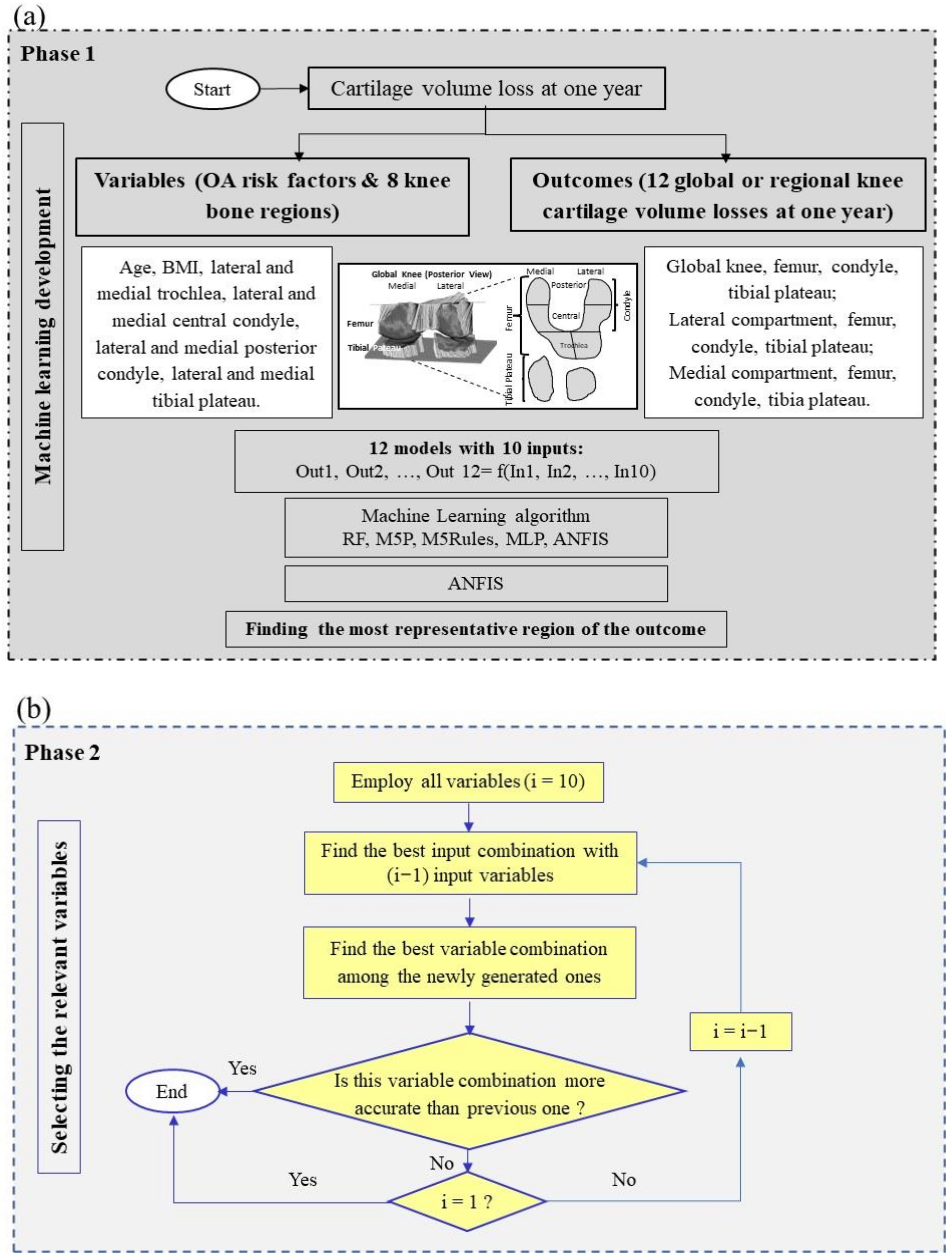 Biomedicines 10 01247 g001