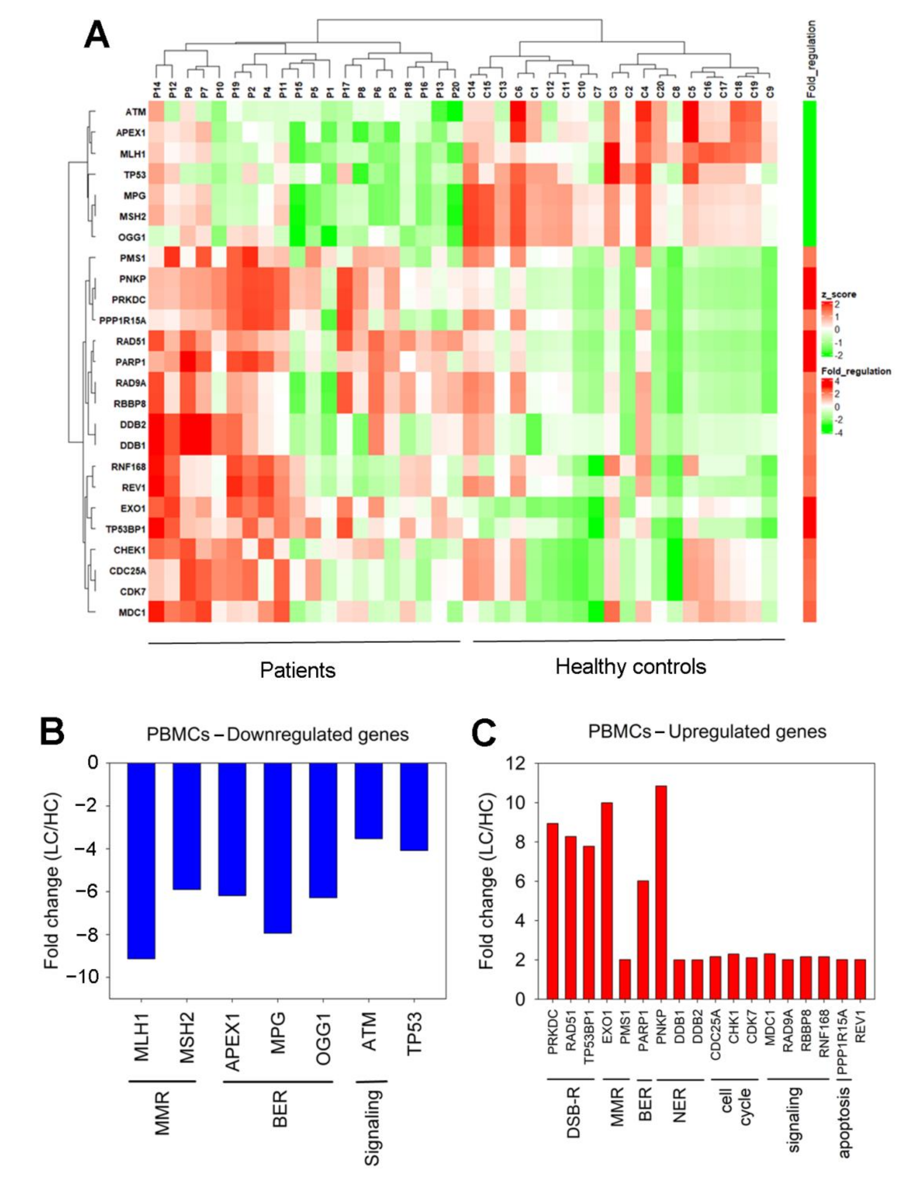 Biomedicines 10 01248 g005