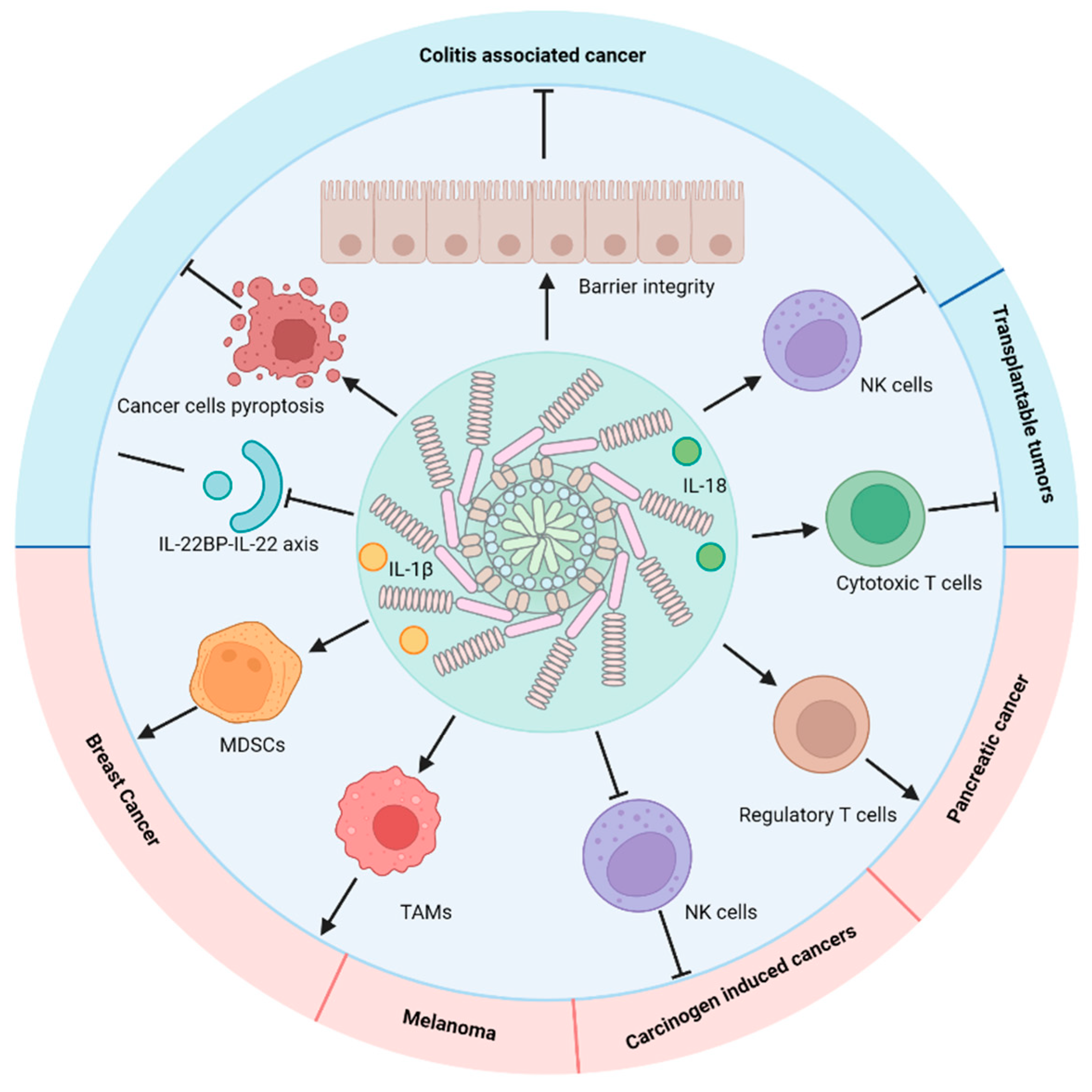 Biomedicines 10 01250 g002 Biomedicines 10 01250 g002