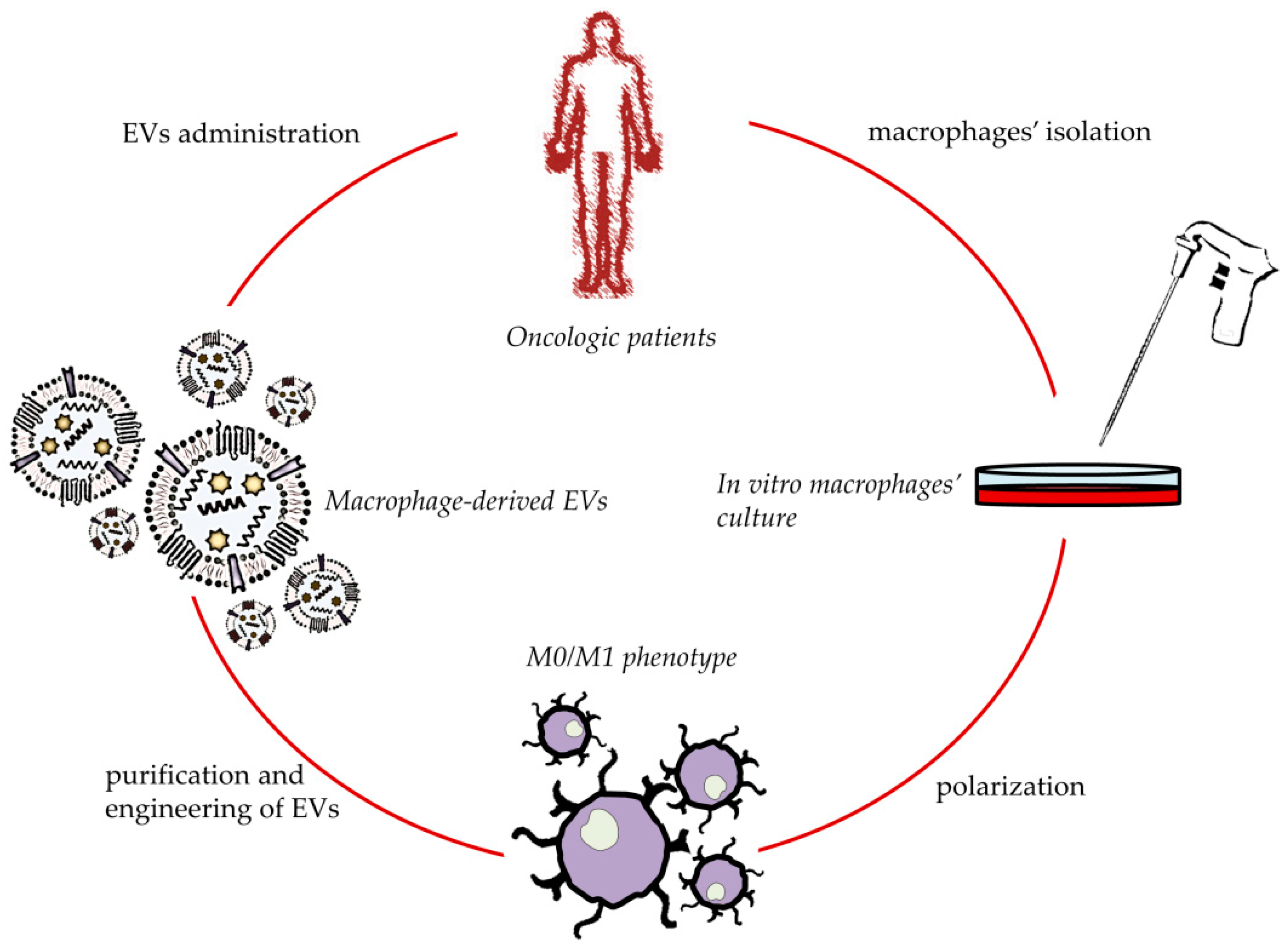Biomedicines 10 01252 g003