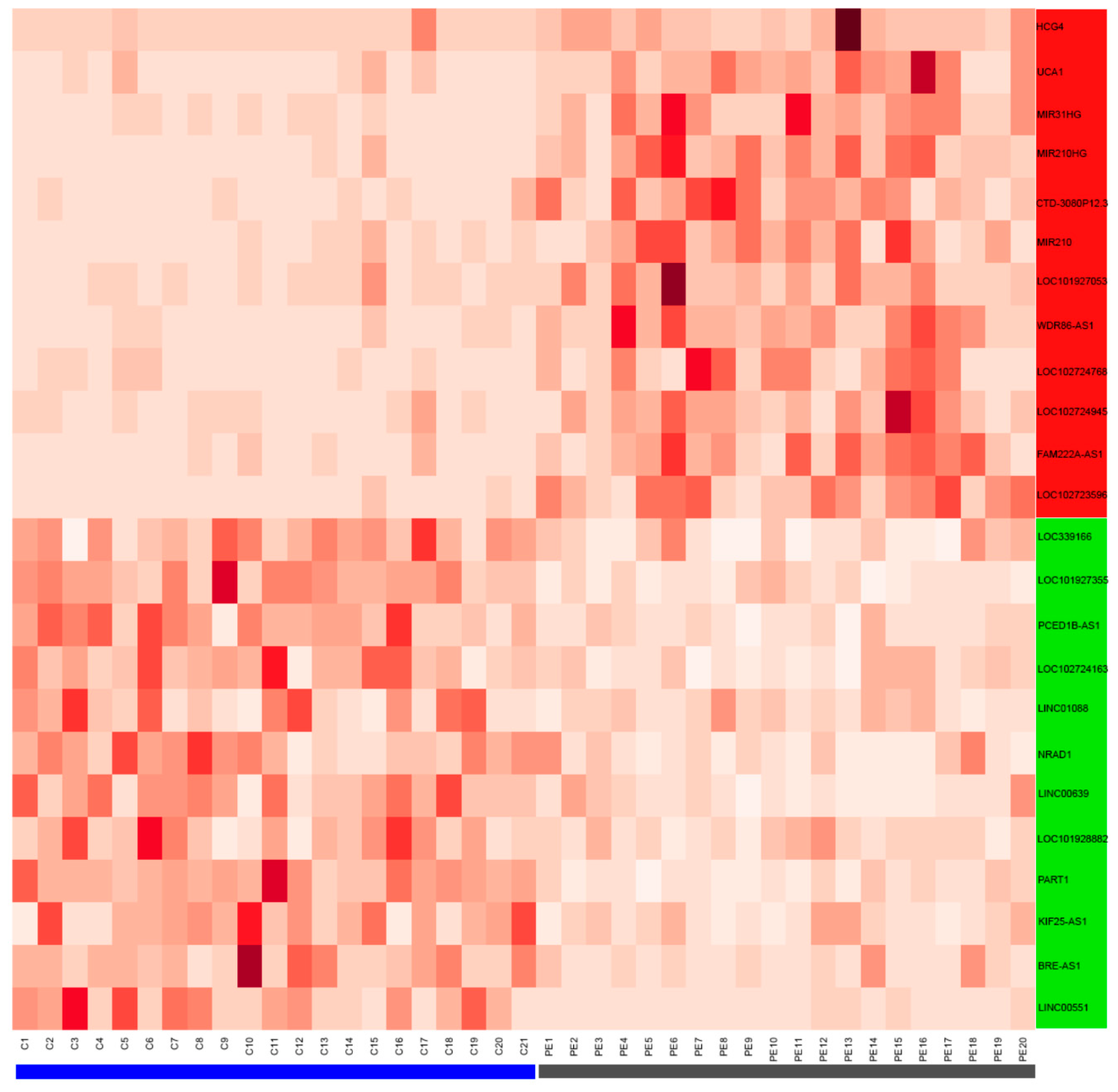 Biomedicines 10 01253 g002 550