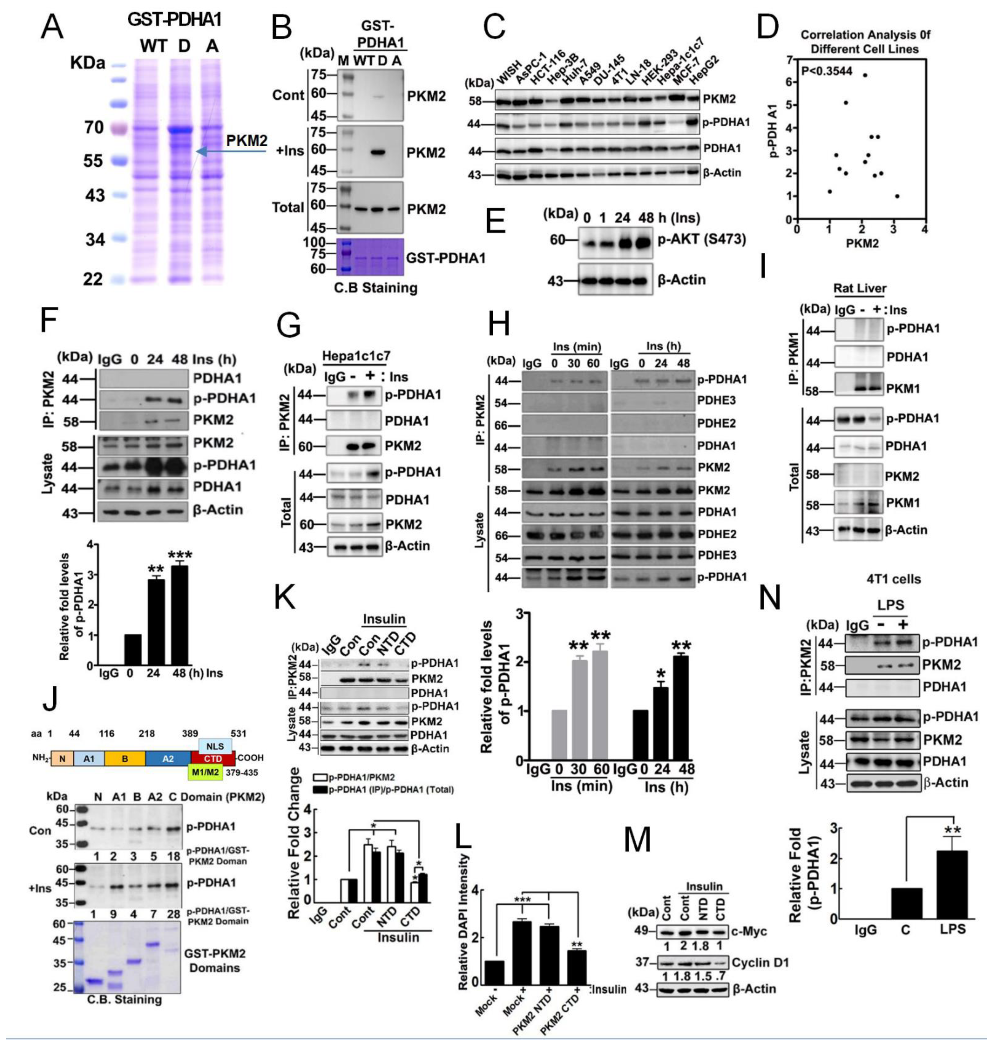 Biomedicines 10 01256 g001