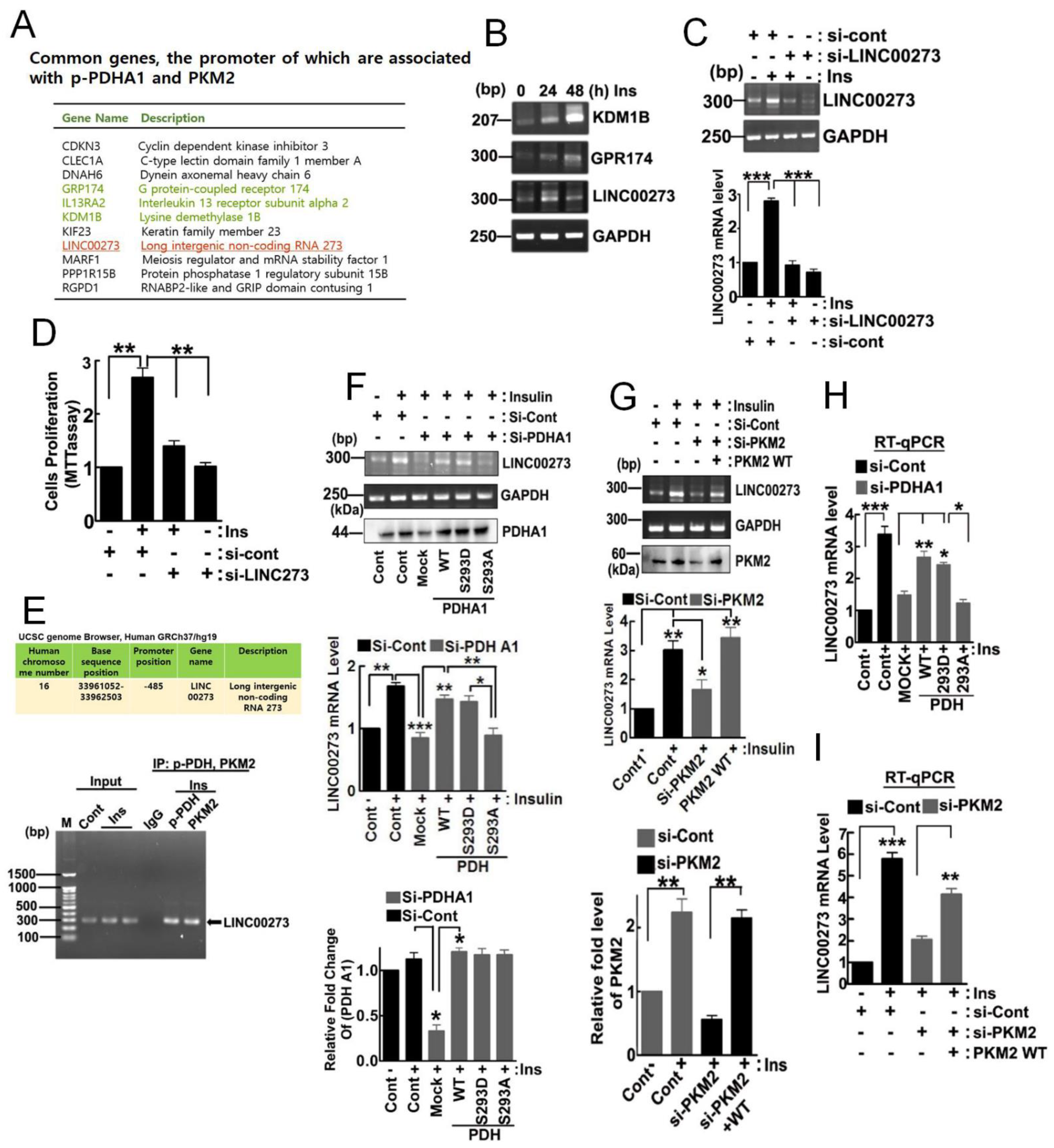 Biomedicines 10 01256 g003
