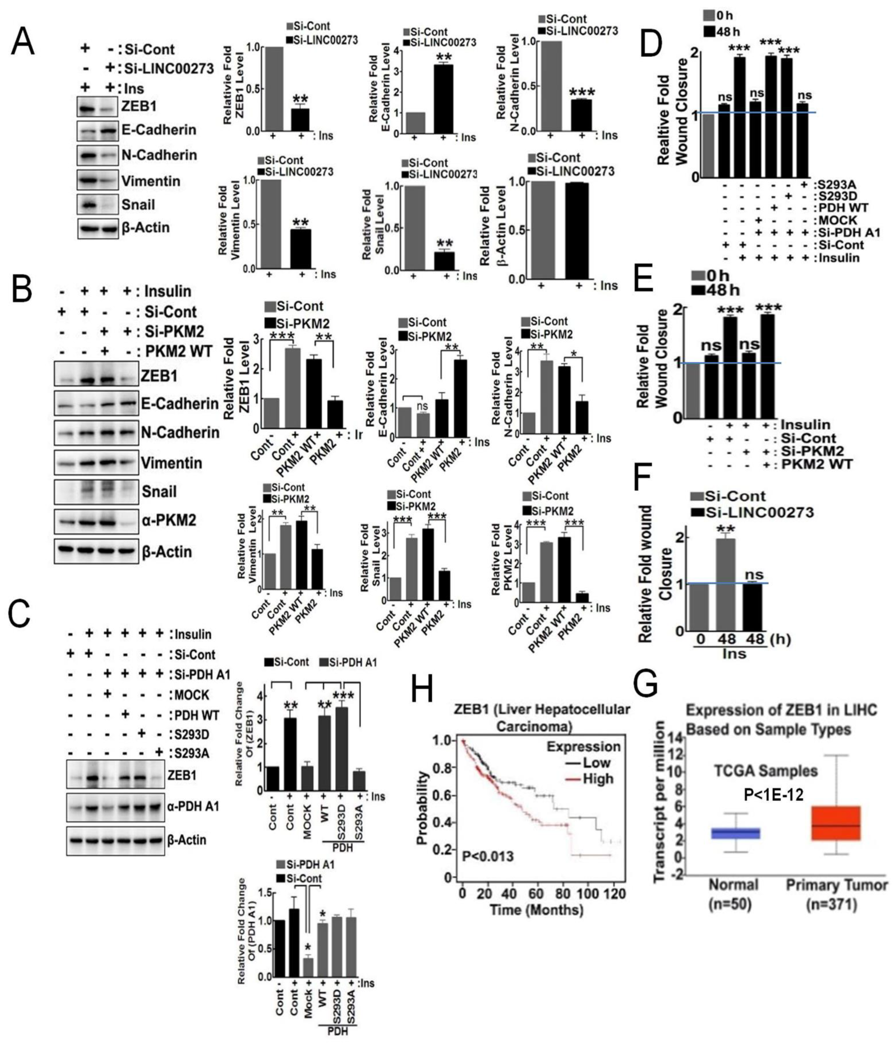 Biomedicines 10 01256 g004