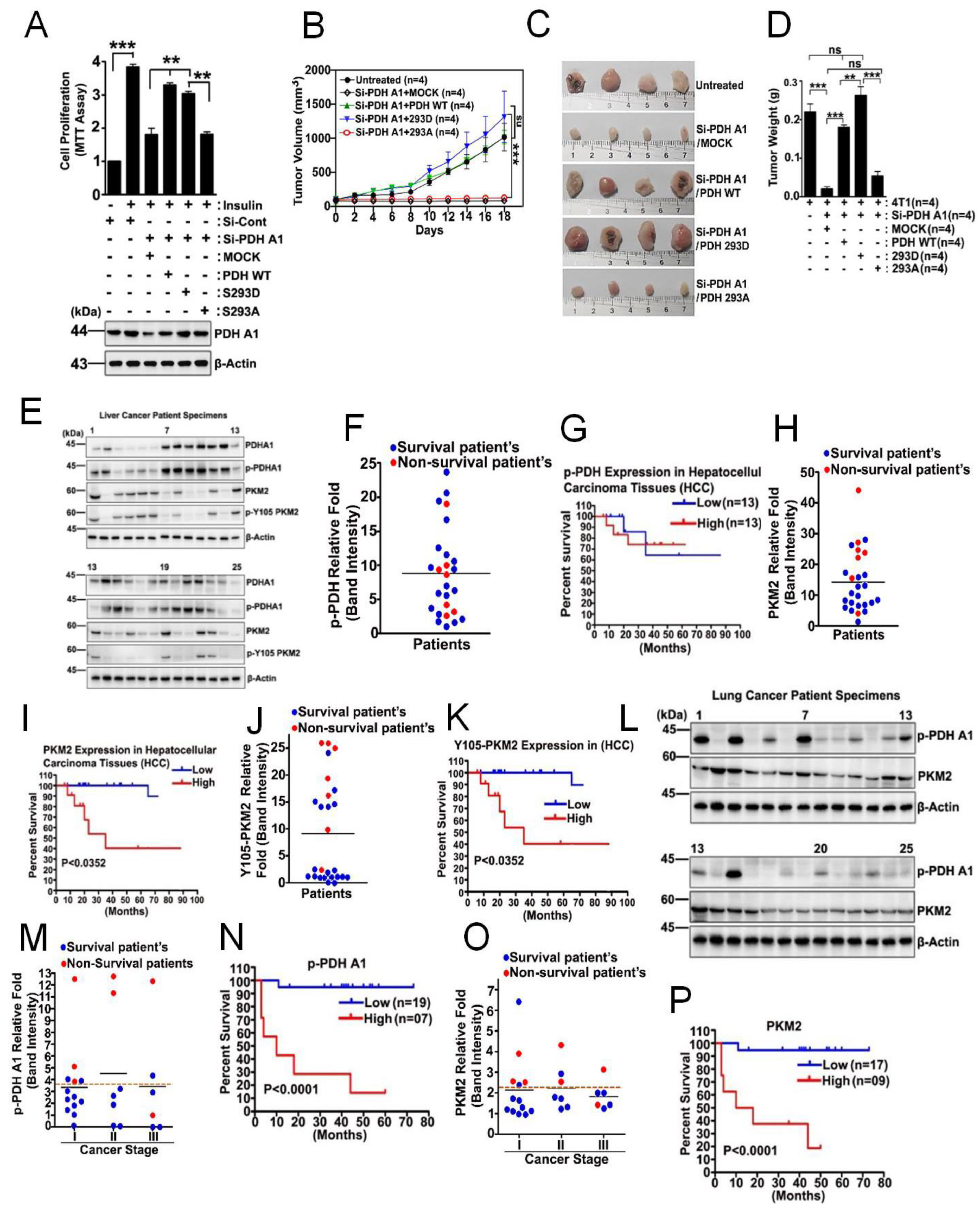 Biomedicines 10 01256 g006