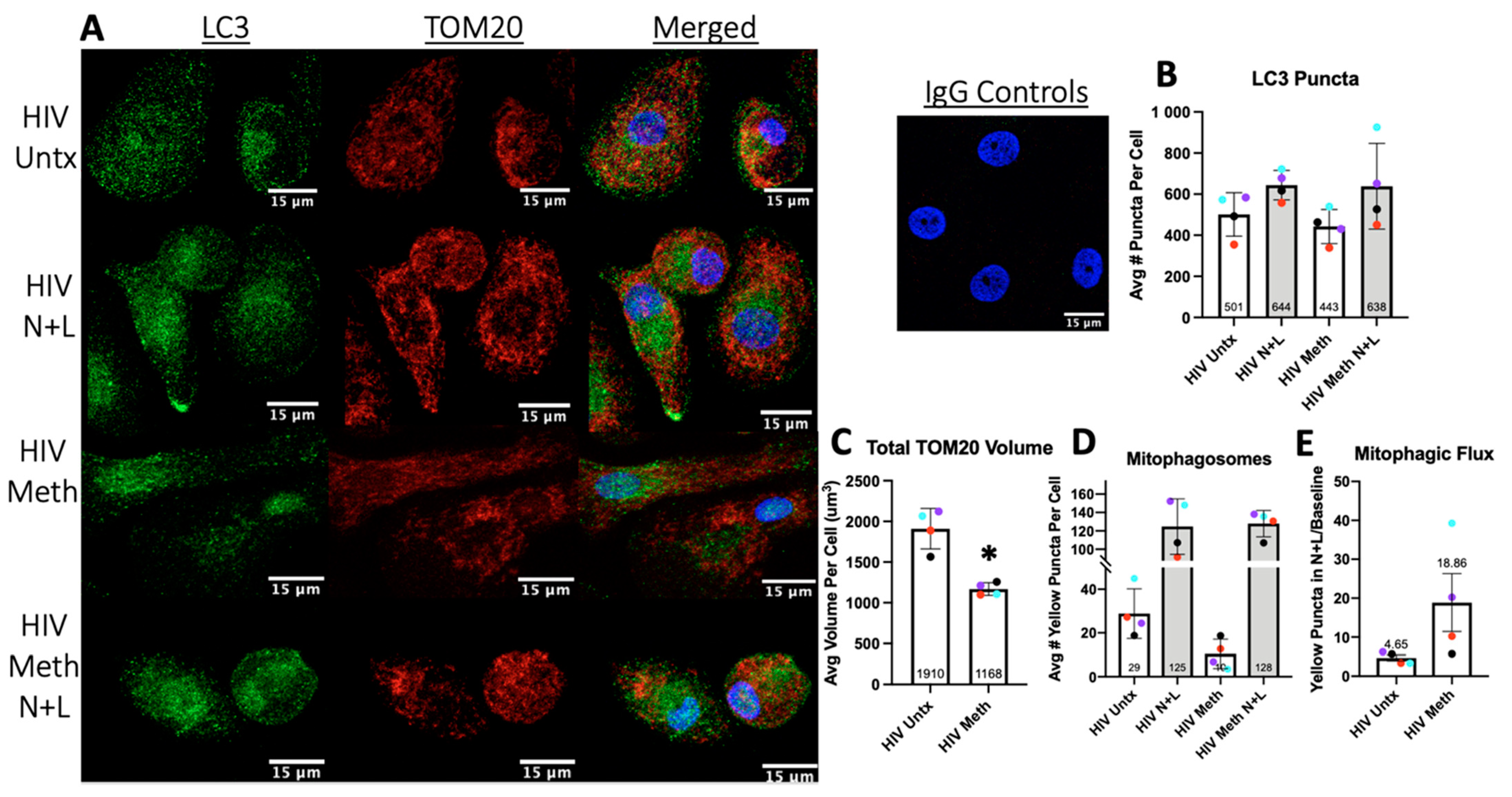 Biomedicines 10 01257 g006 550