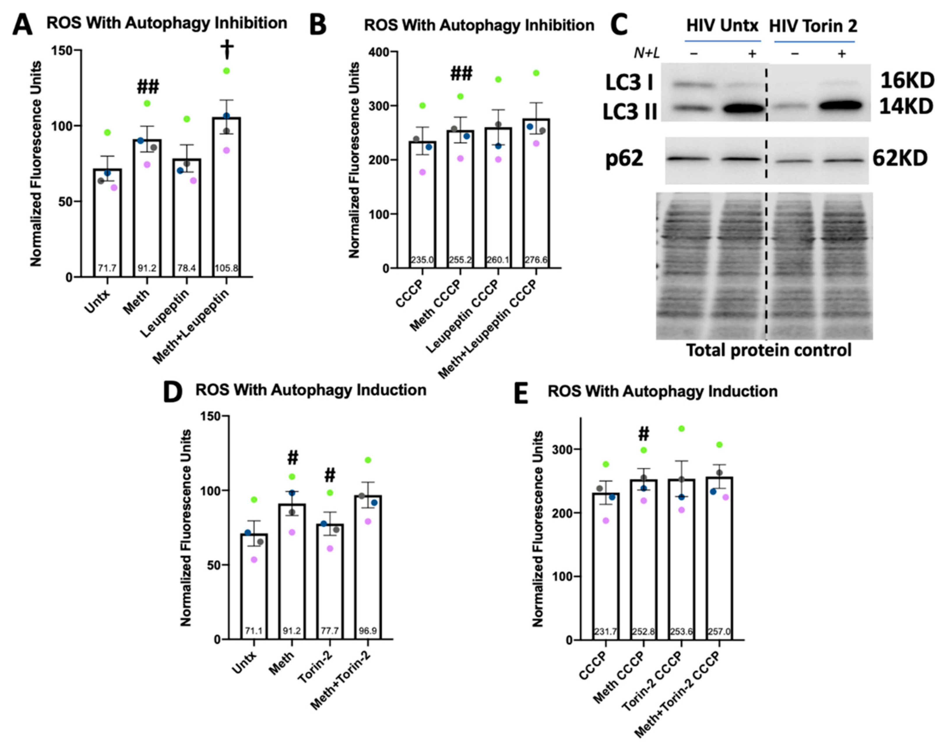Biomedicines 10 01257 g007 550