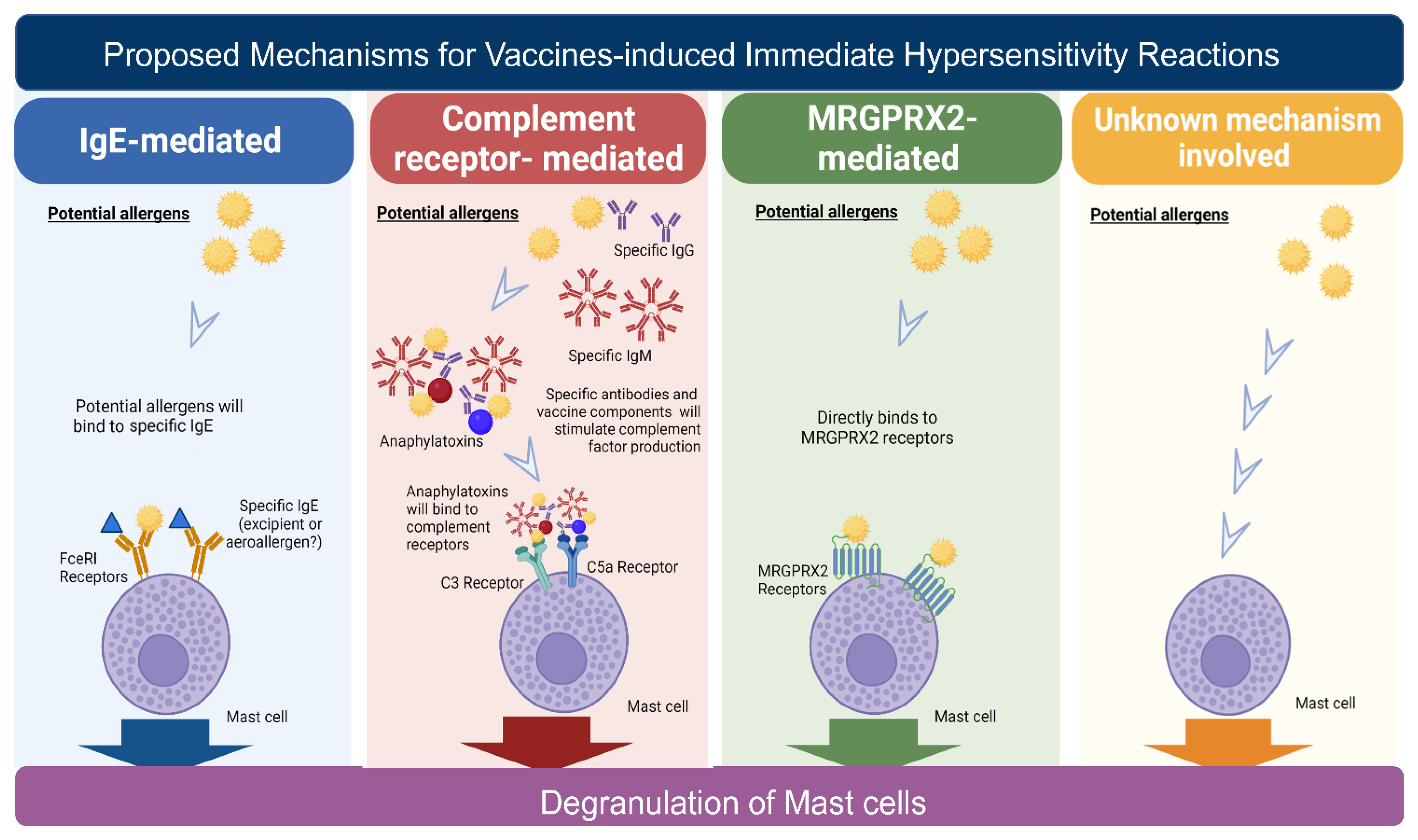 Biomedicines Free FullText Immediate Hypersensitivity Reactions