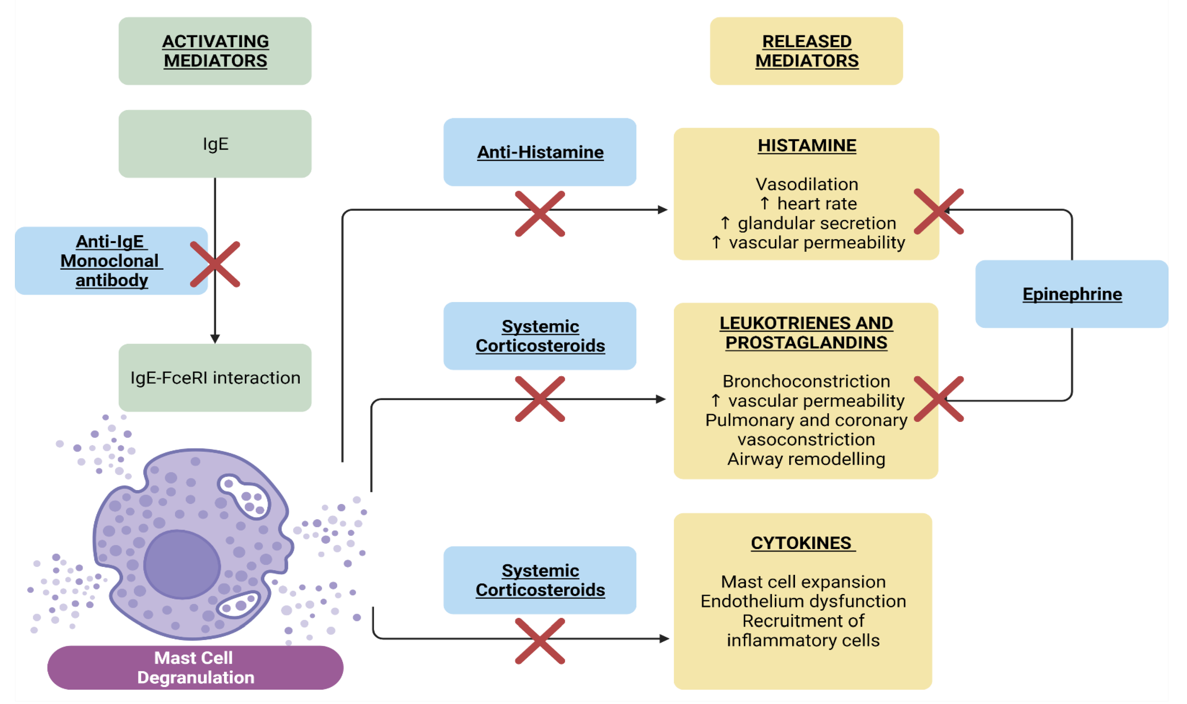 Biomedicines 10 01260 g002