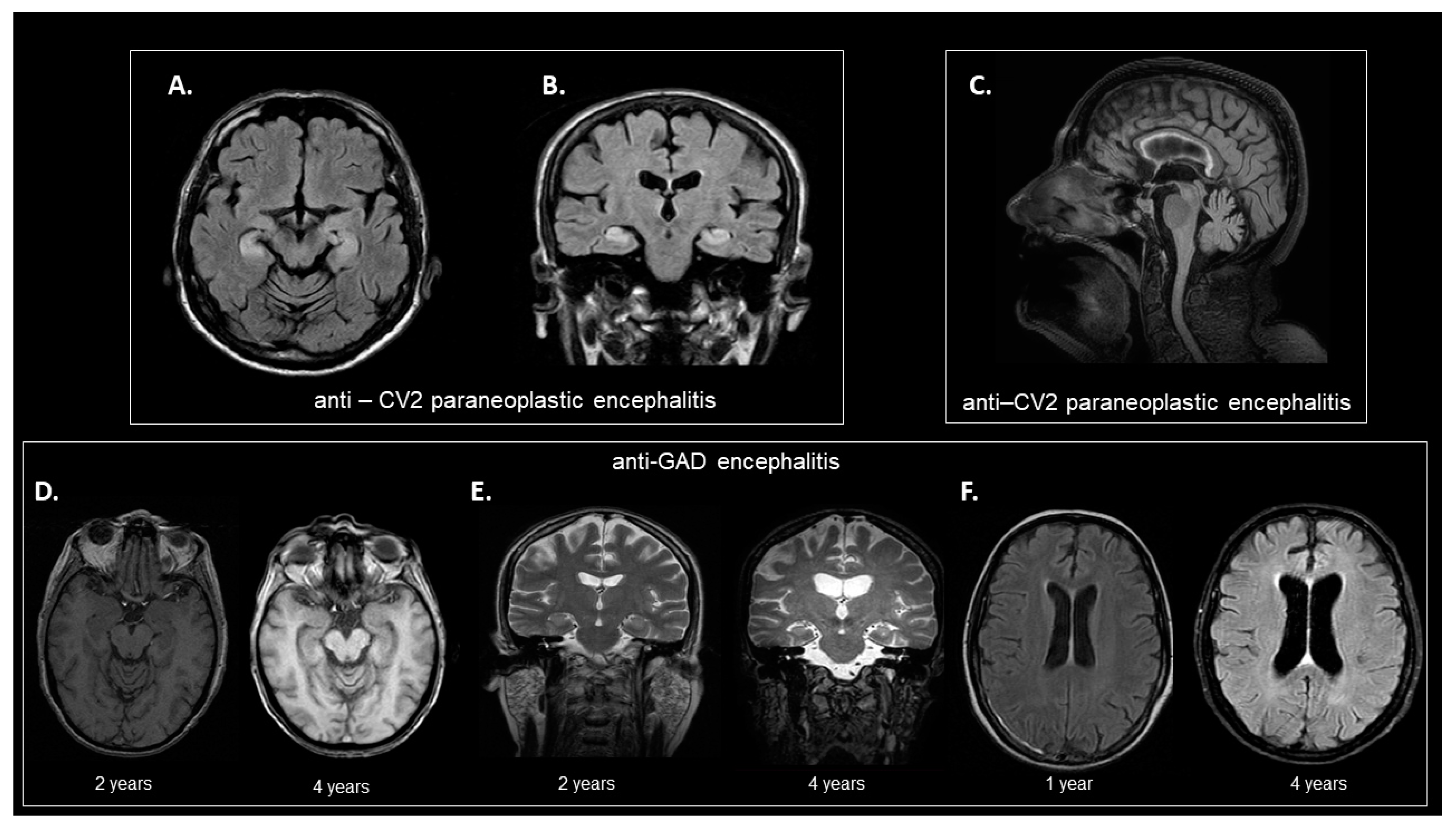 Biomedicines 10 01262 g002 550