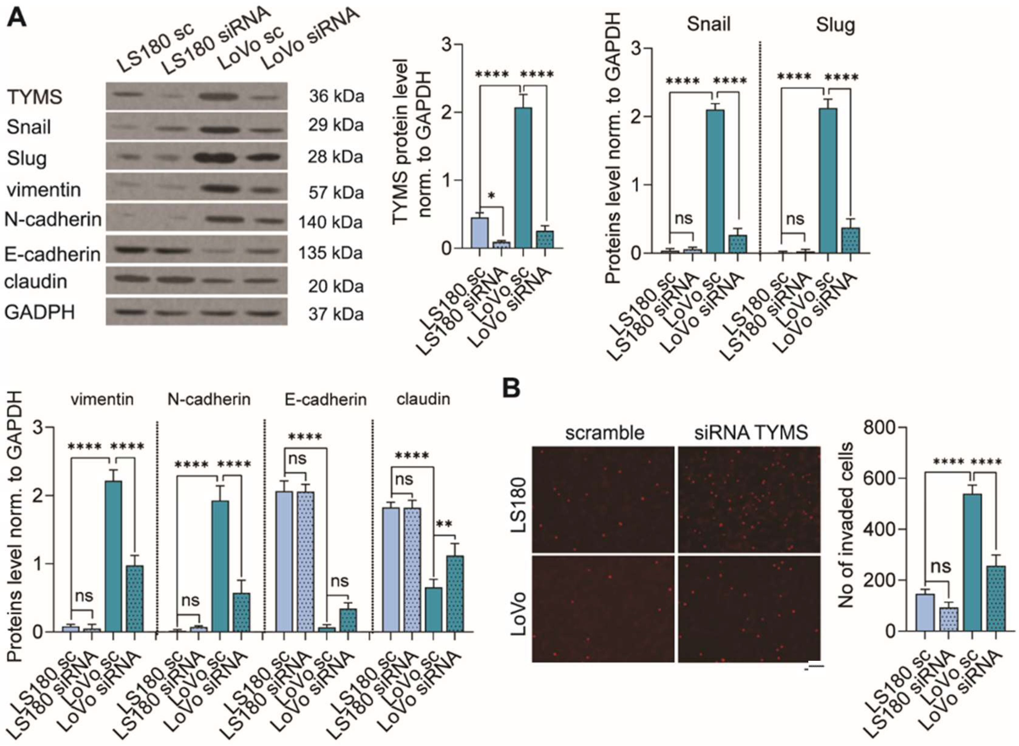 Biomedicines 10 01267 g004