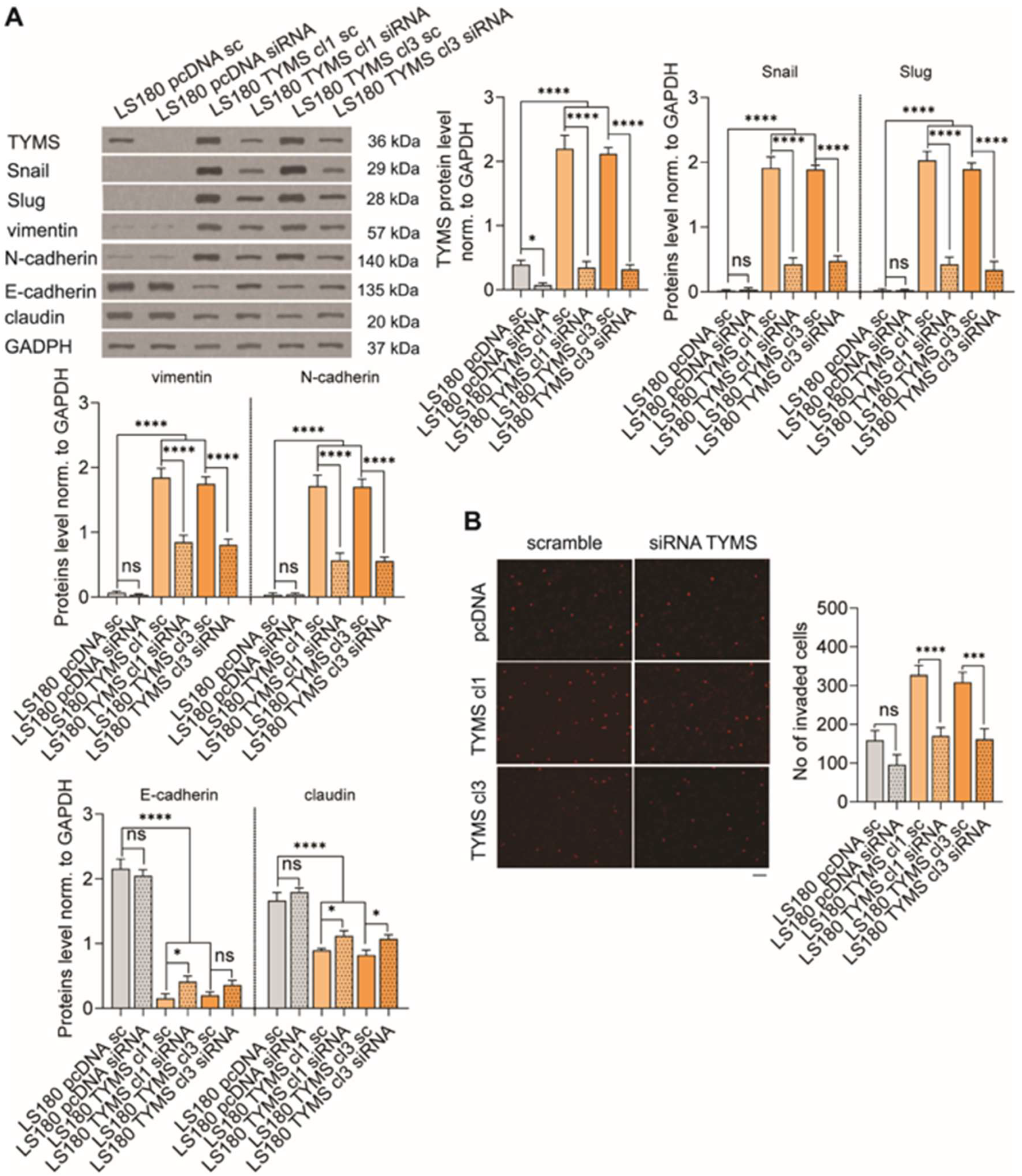 Biomedicines 10 01267 g005