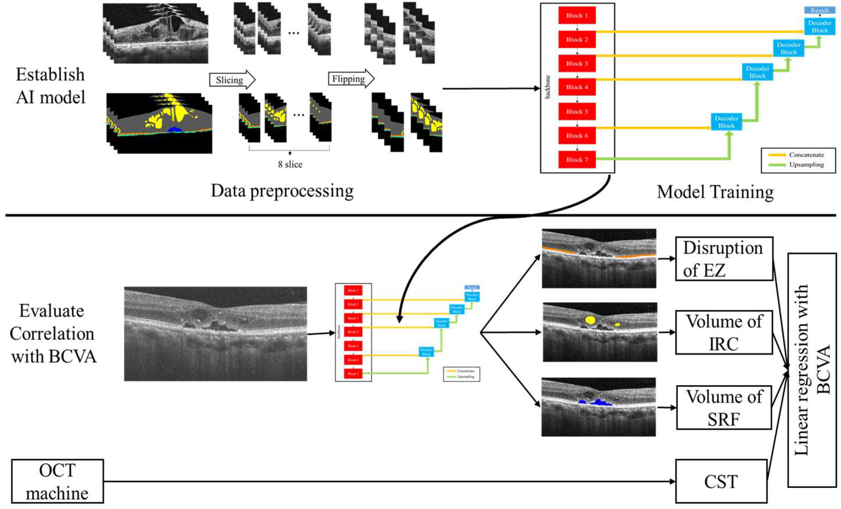 Biomedicines 10 01269 g001
