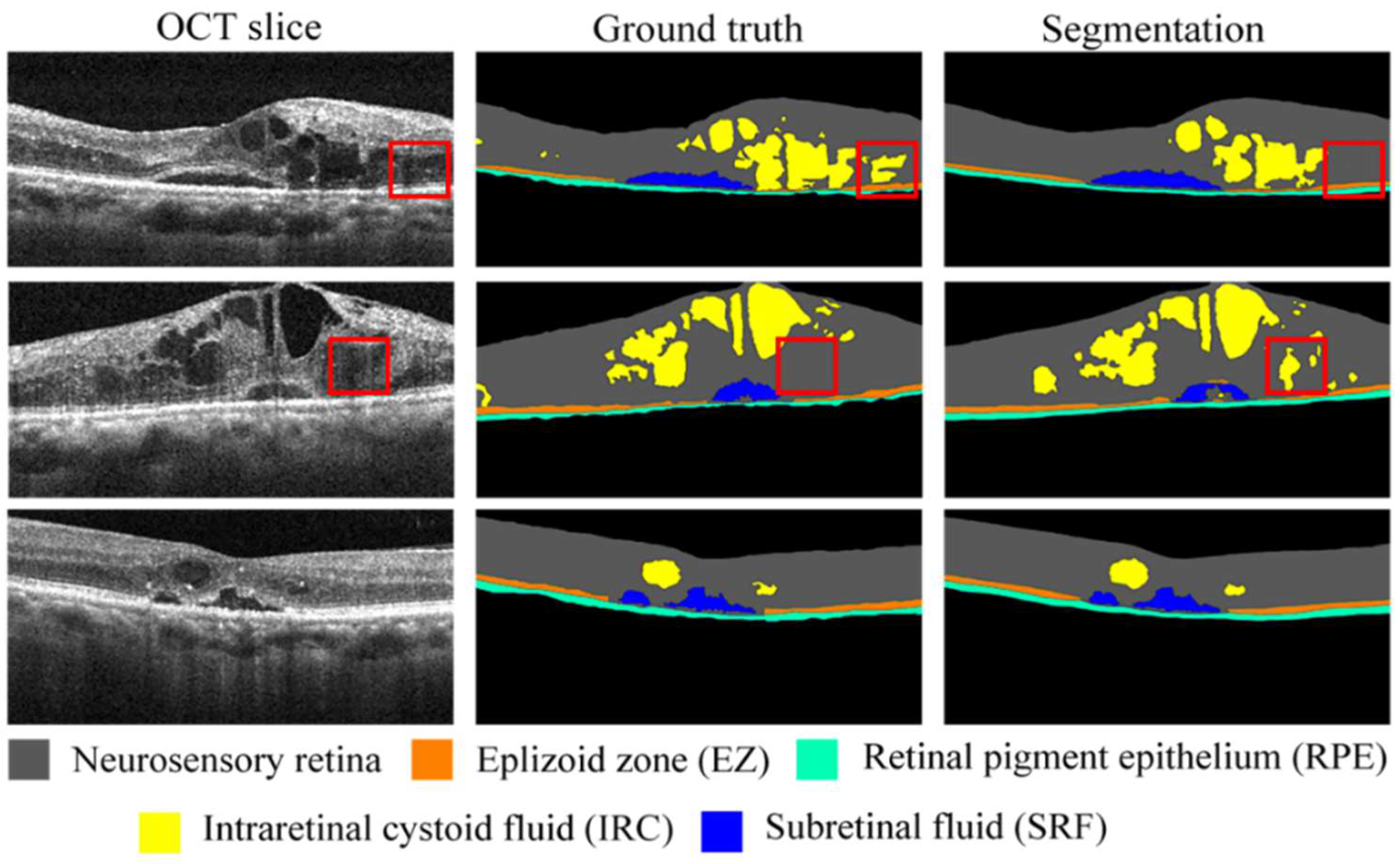 Biomedicines 10 01269 g004