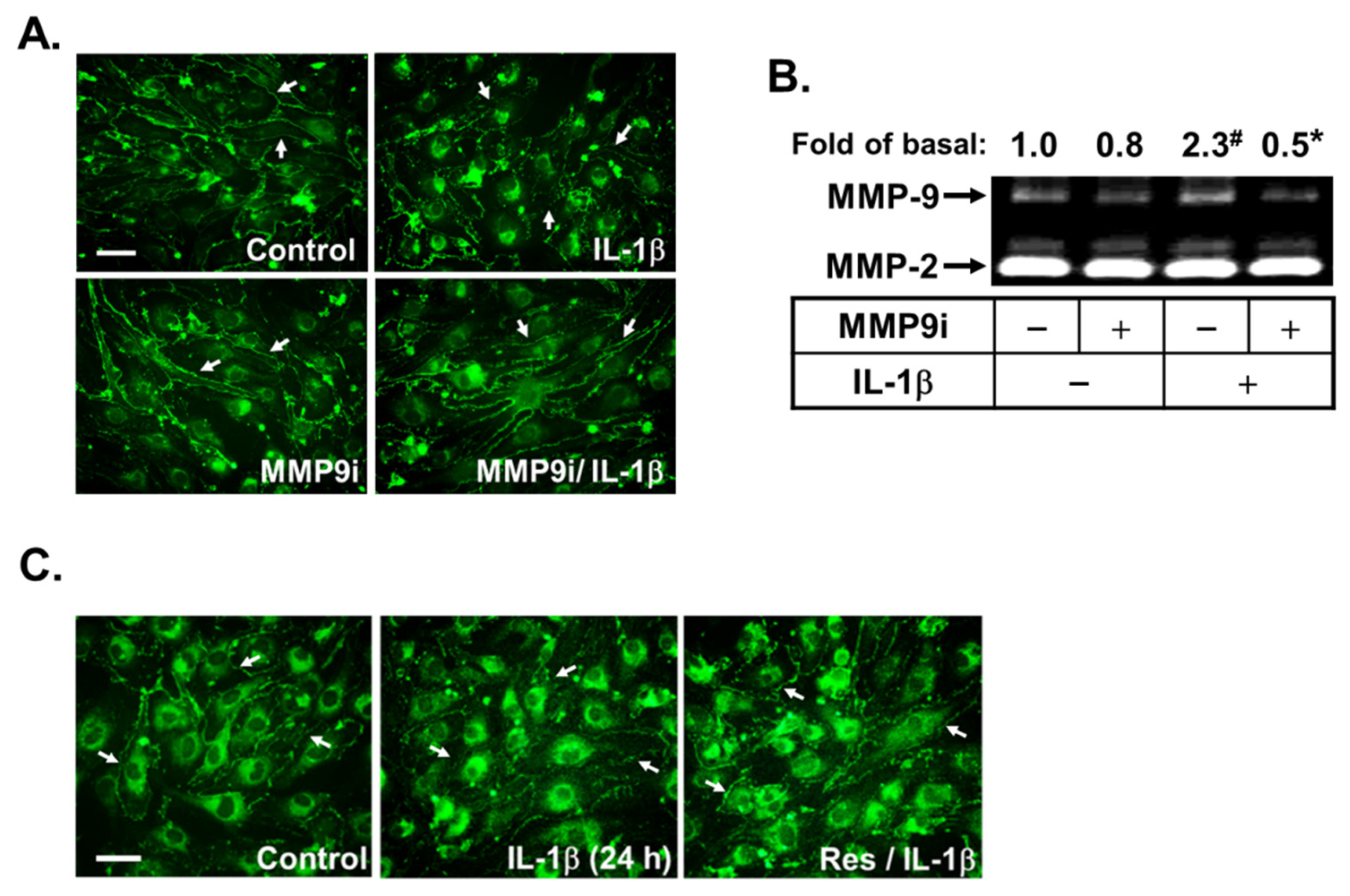Biomedicines 10 01270 g006