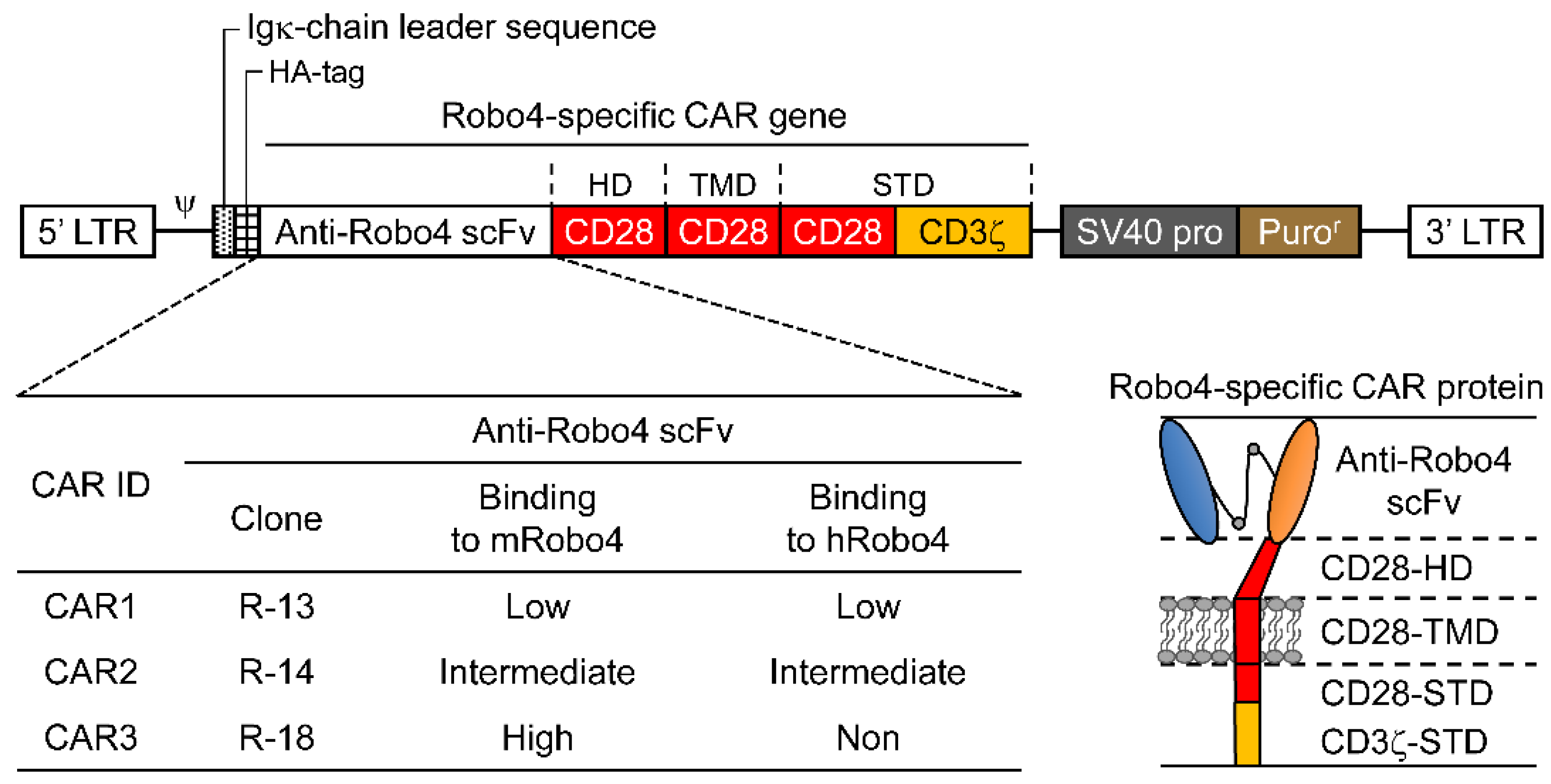 Biomedicines 10 01273 g001 550