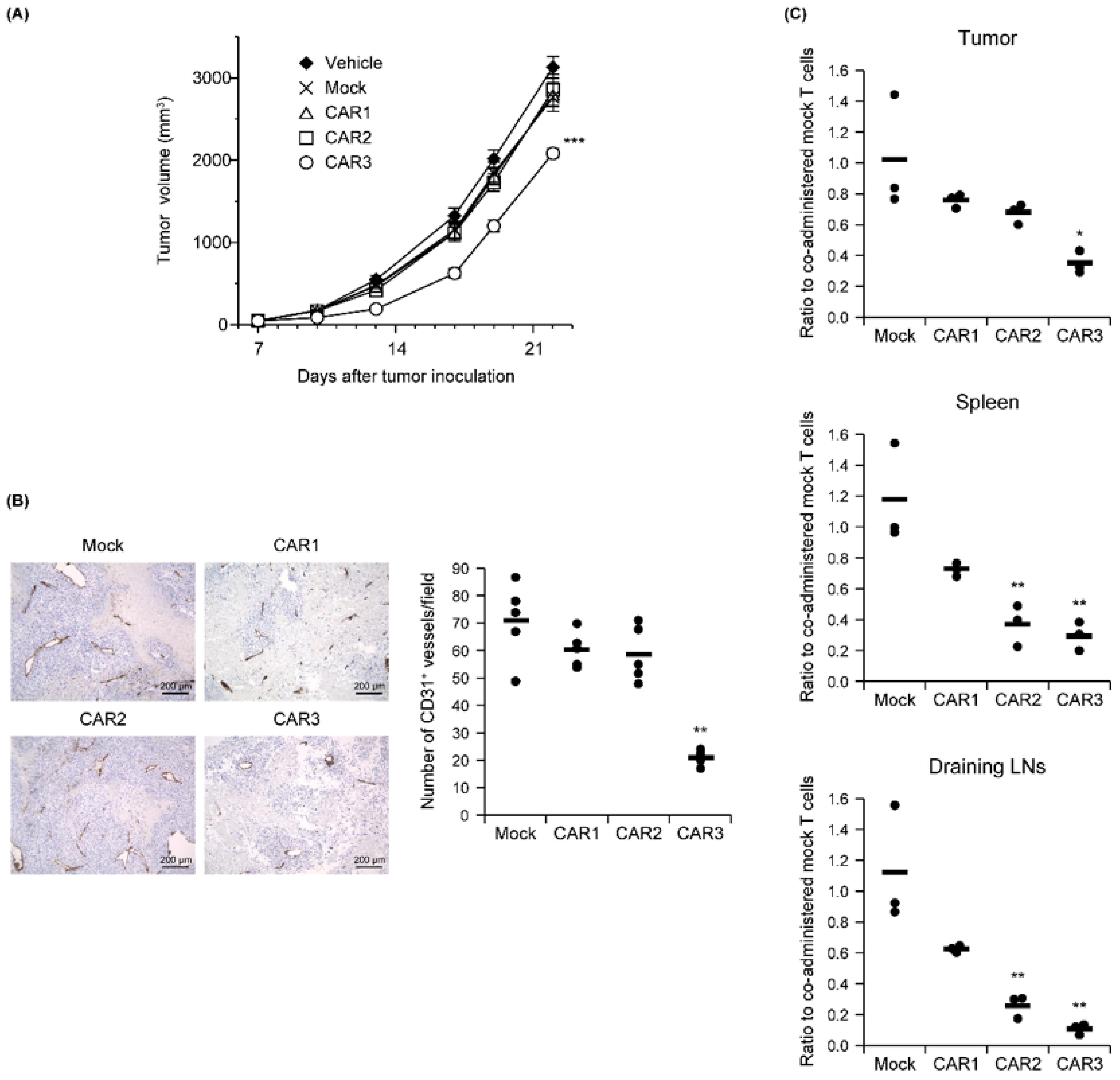 Biomedicines 10 01273 g004 550