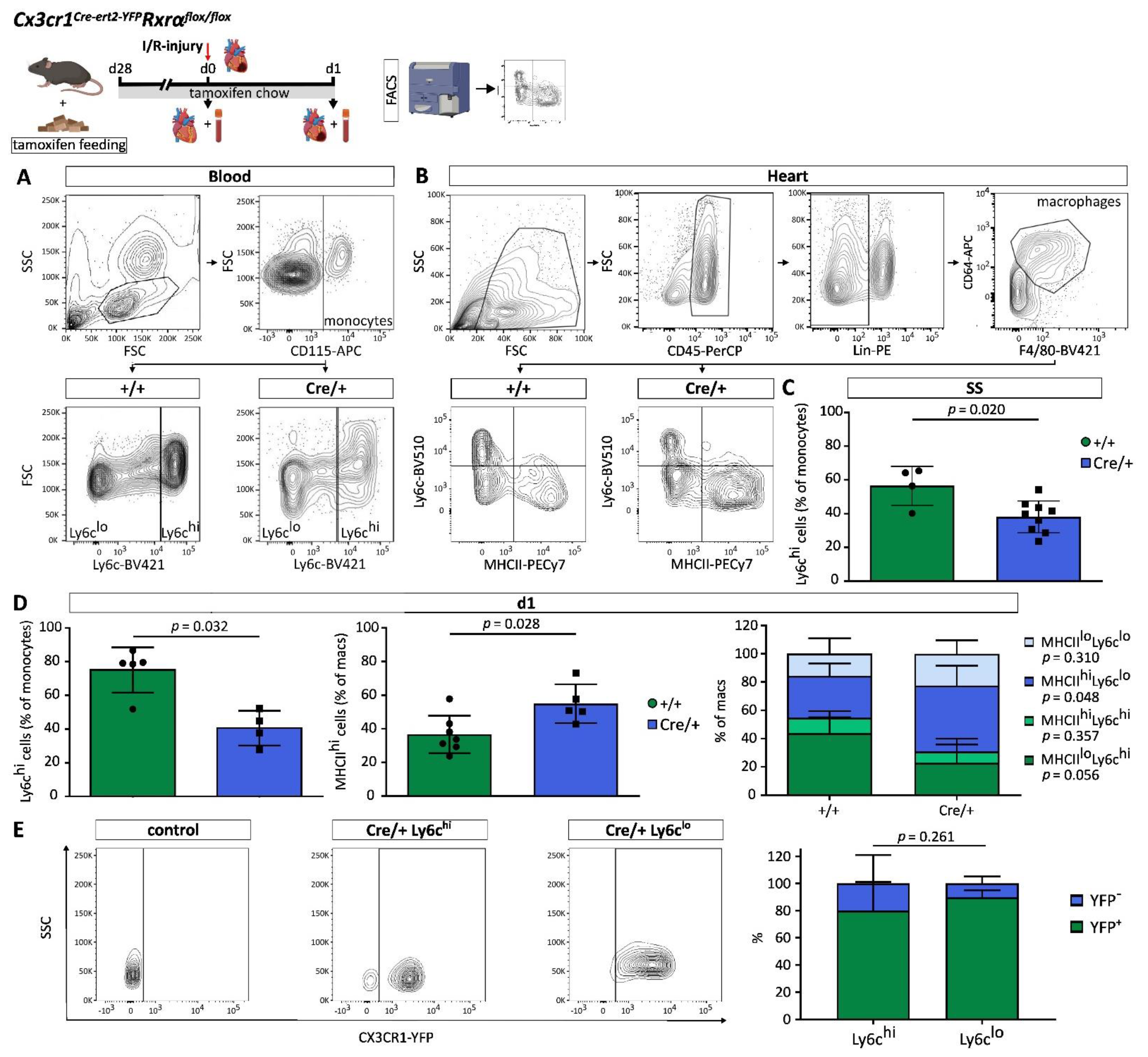 Biomedicines 10 01274 g002