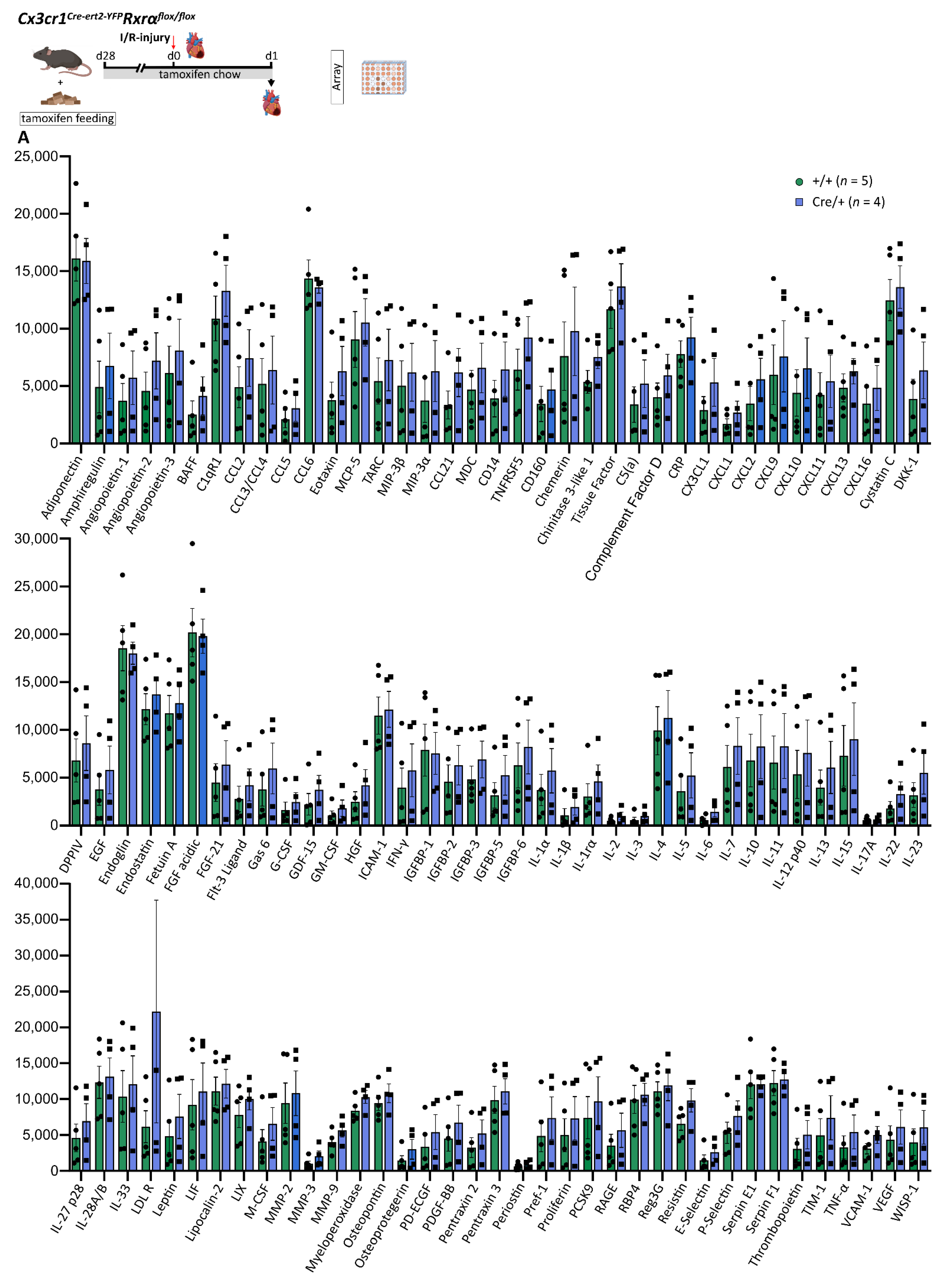 Biomedicines 10 01274 g006
