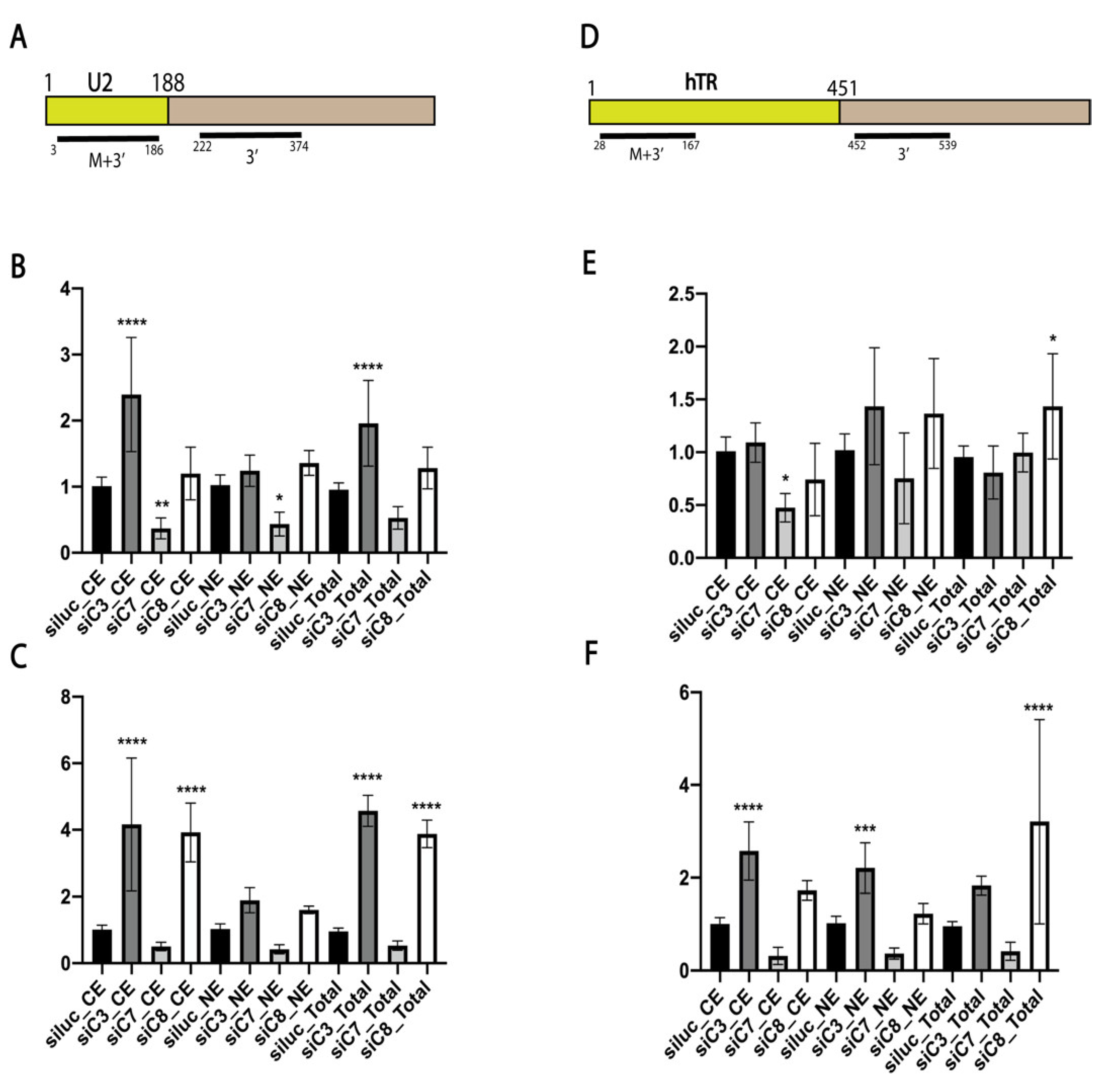 Biomedicines 10 01275 g001 550