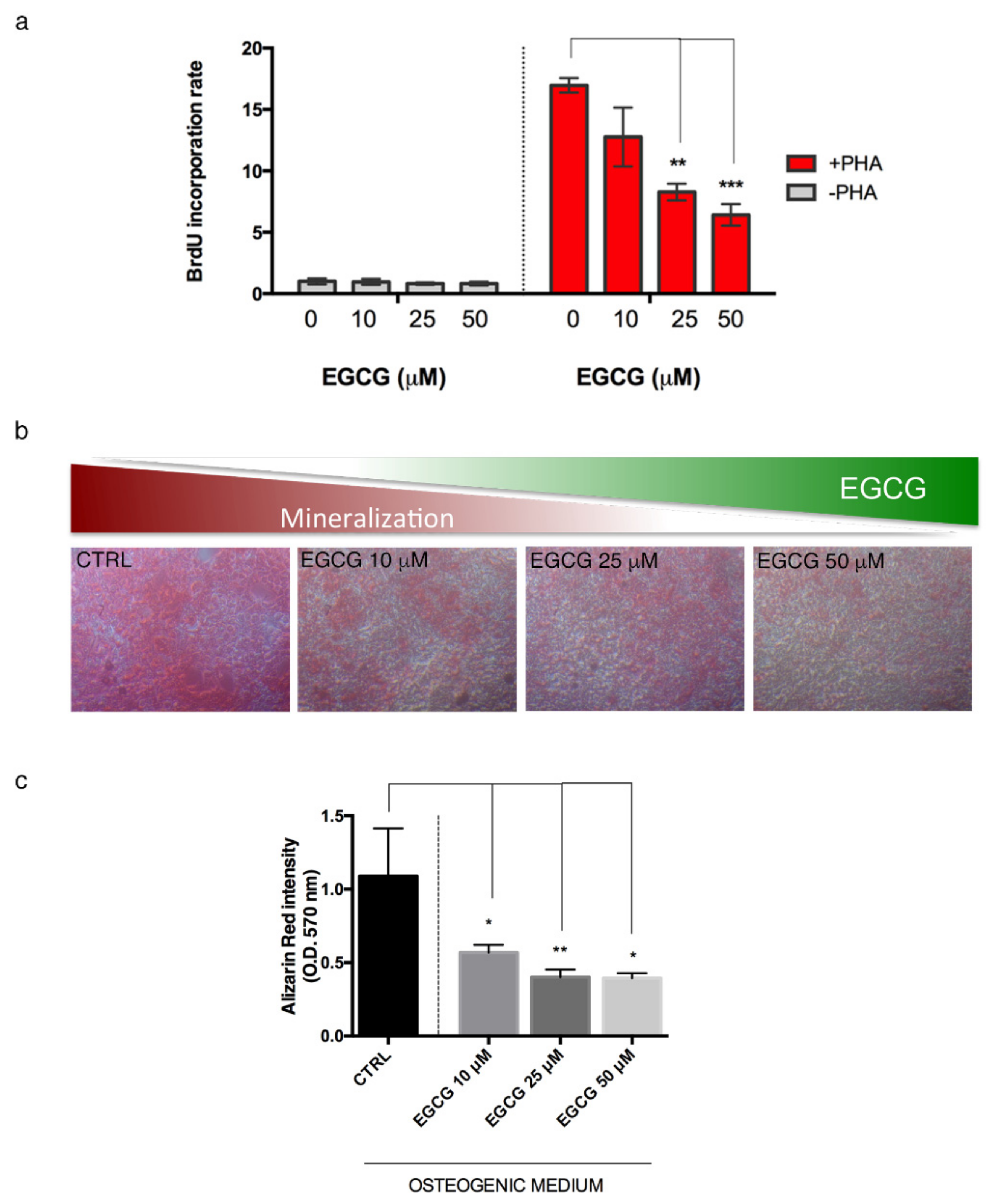 Biomedicines 10 01276 g004