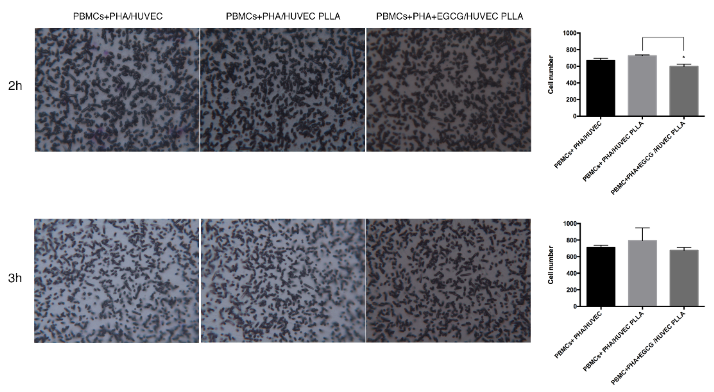 Biomedicines 10 01276 g006
