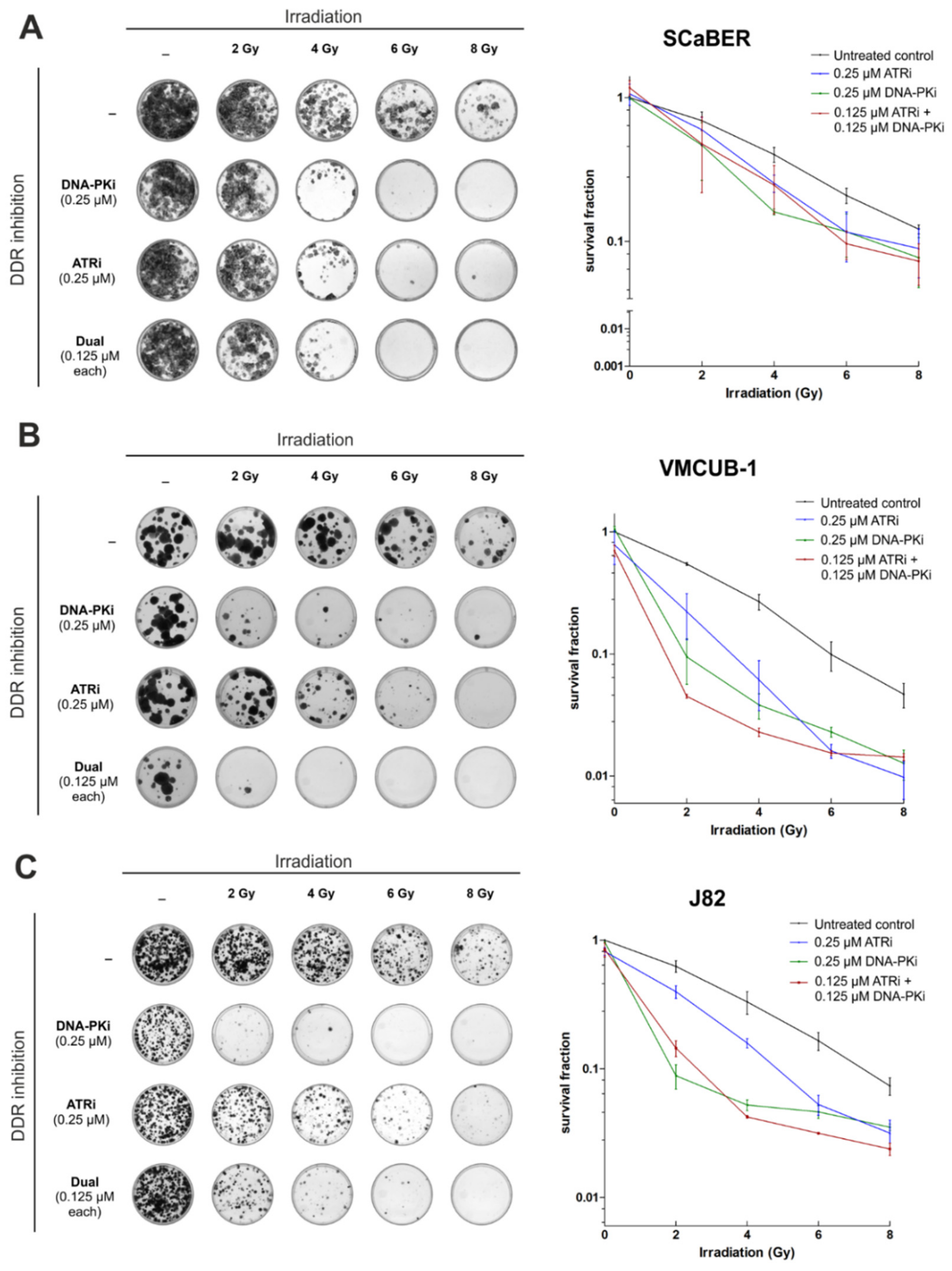 Biomedicines 10 01277 g004 550