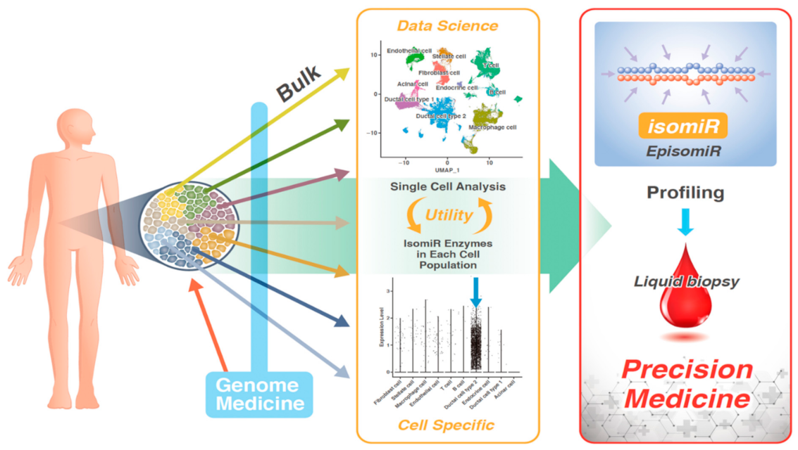 Biomedicines 10 01280 g004 550