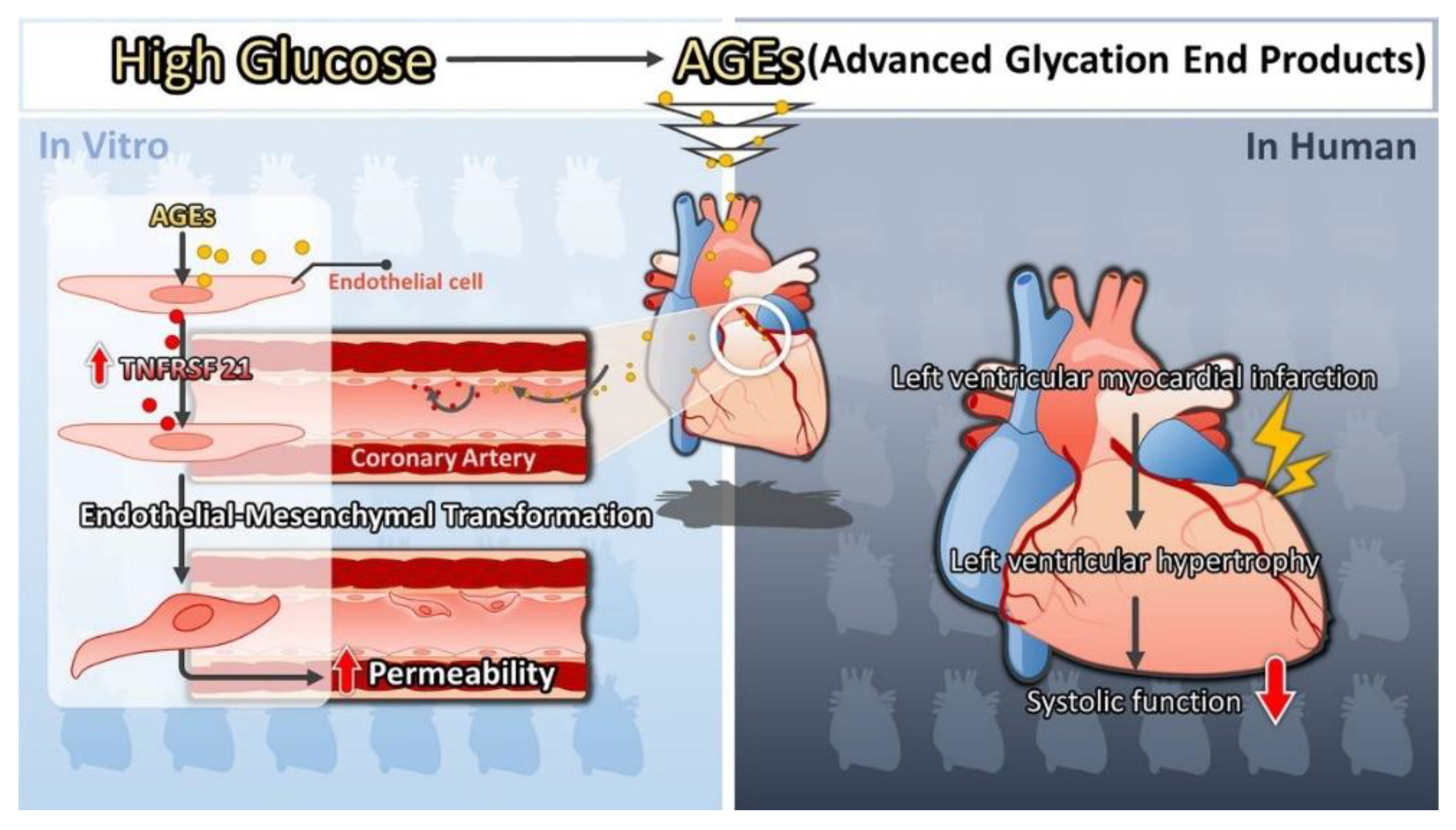 Biomedicines 10 01282 g006